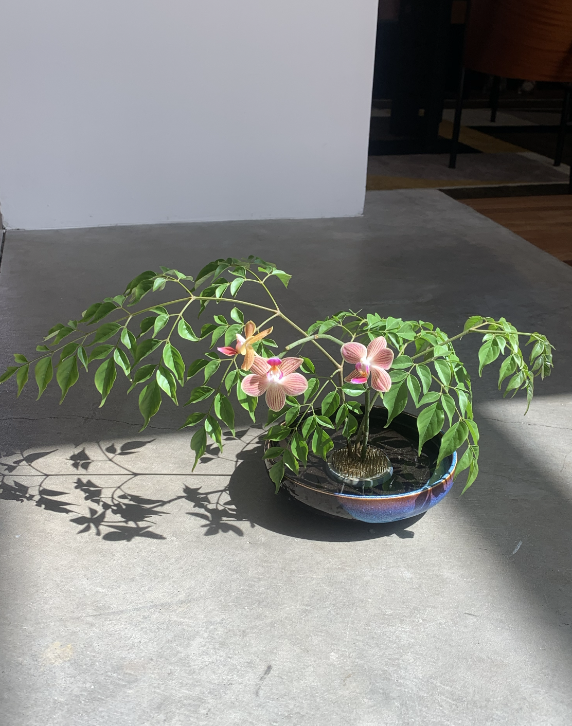 Screen Shot 2026-02-09 at 10.05.16 PM.png