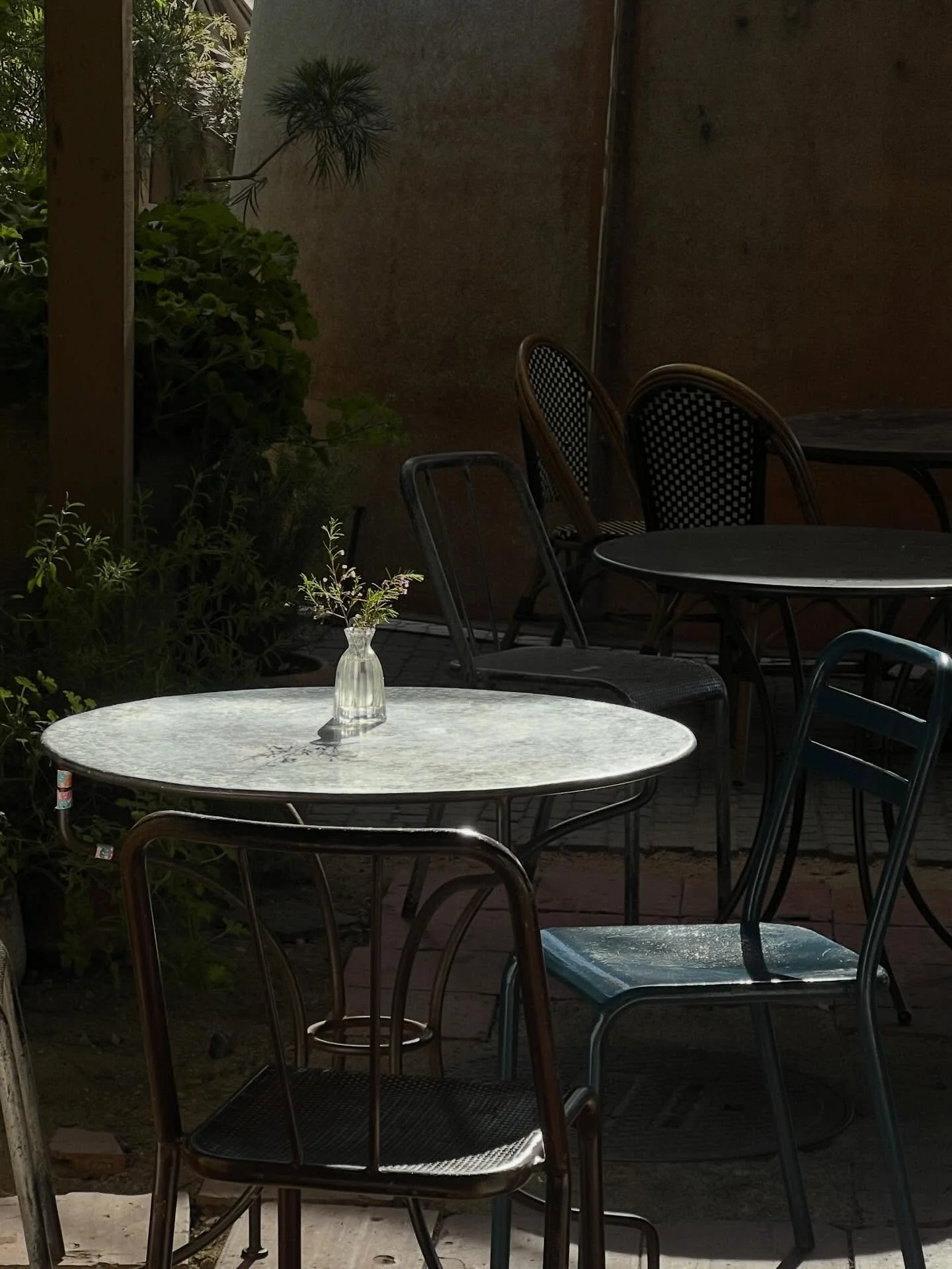 Postcard from Venice