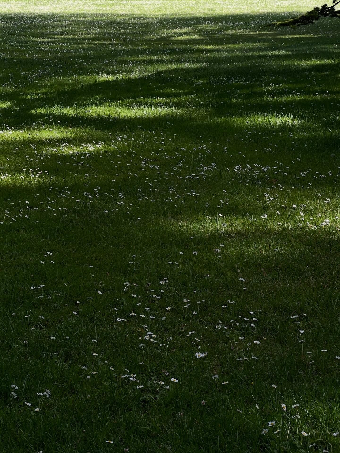 Springtime is my soul personified