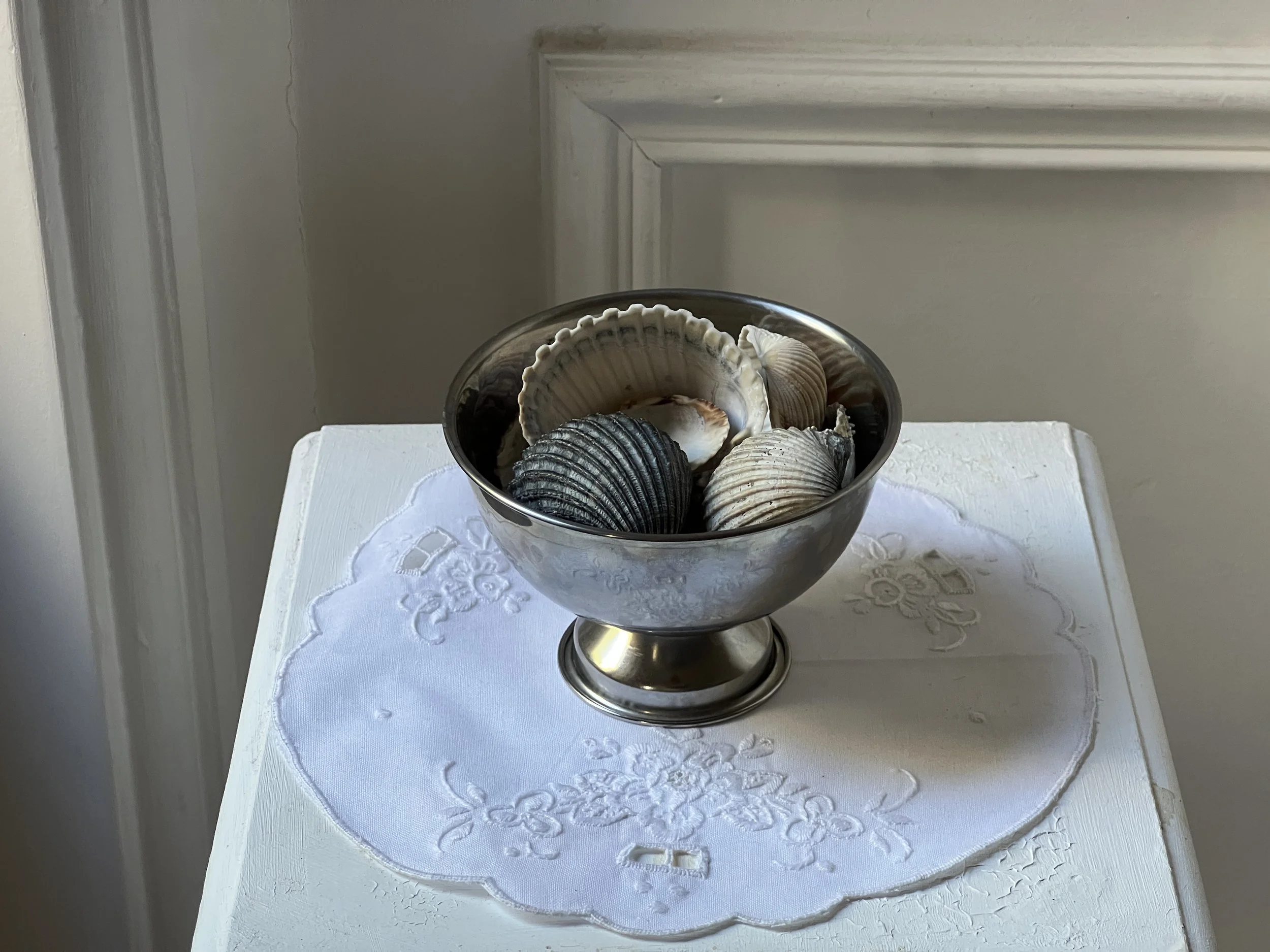 Shells of Deauville 