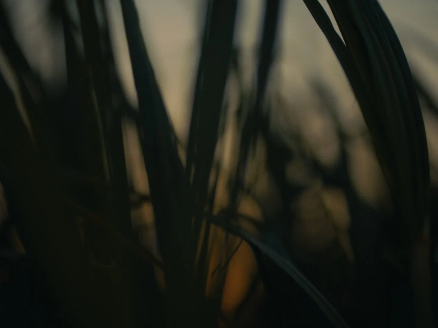 Still 2026-02-20 143126_1.142.1.jpg