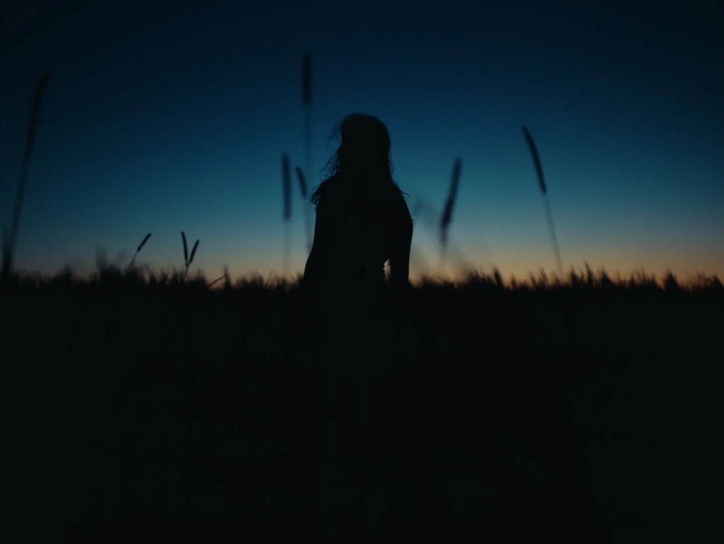 Still 2026-02-20 143126_1.152.1.jpg