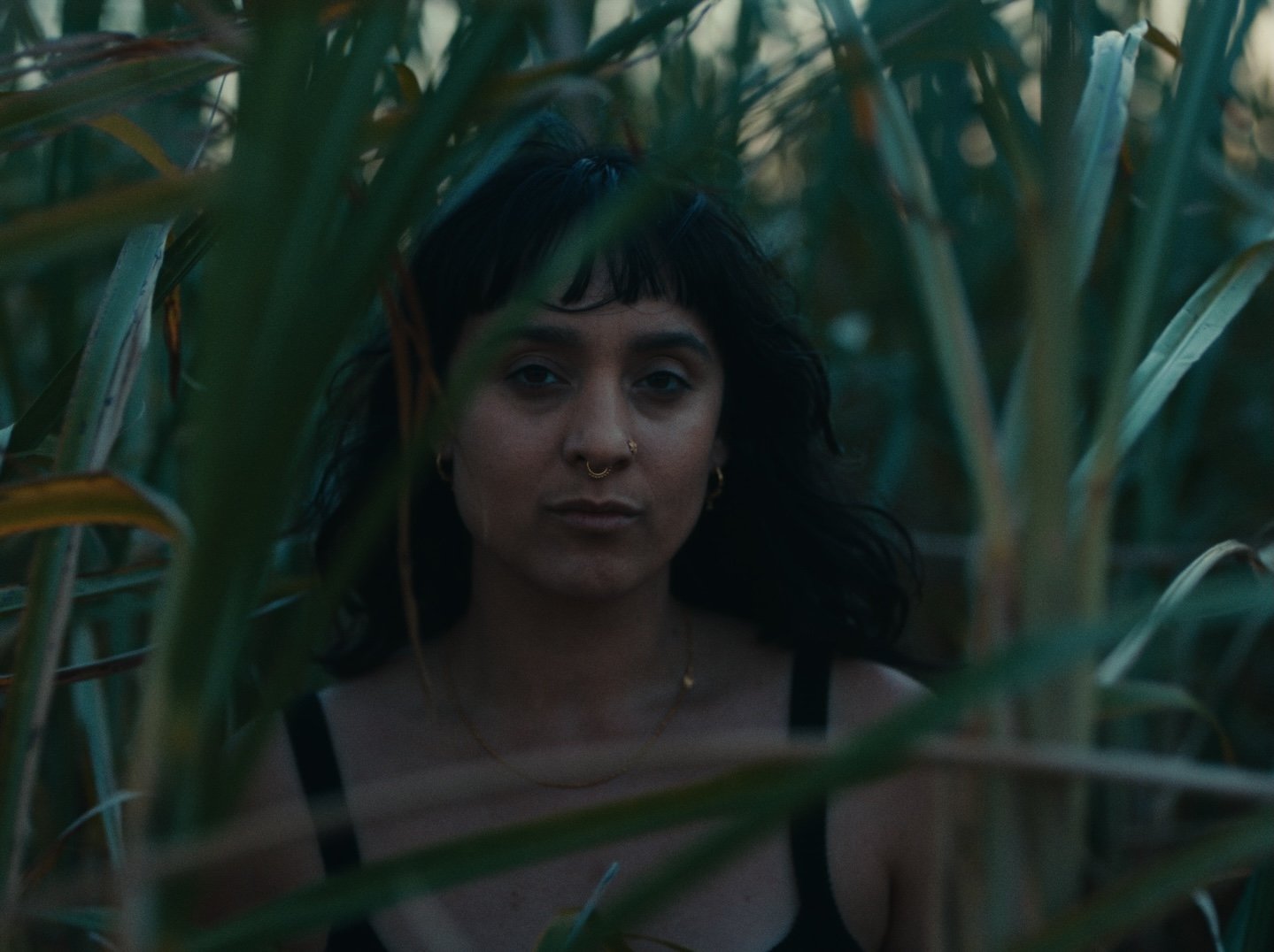 Still 2026-02-20 143126_1.137.1.jpg