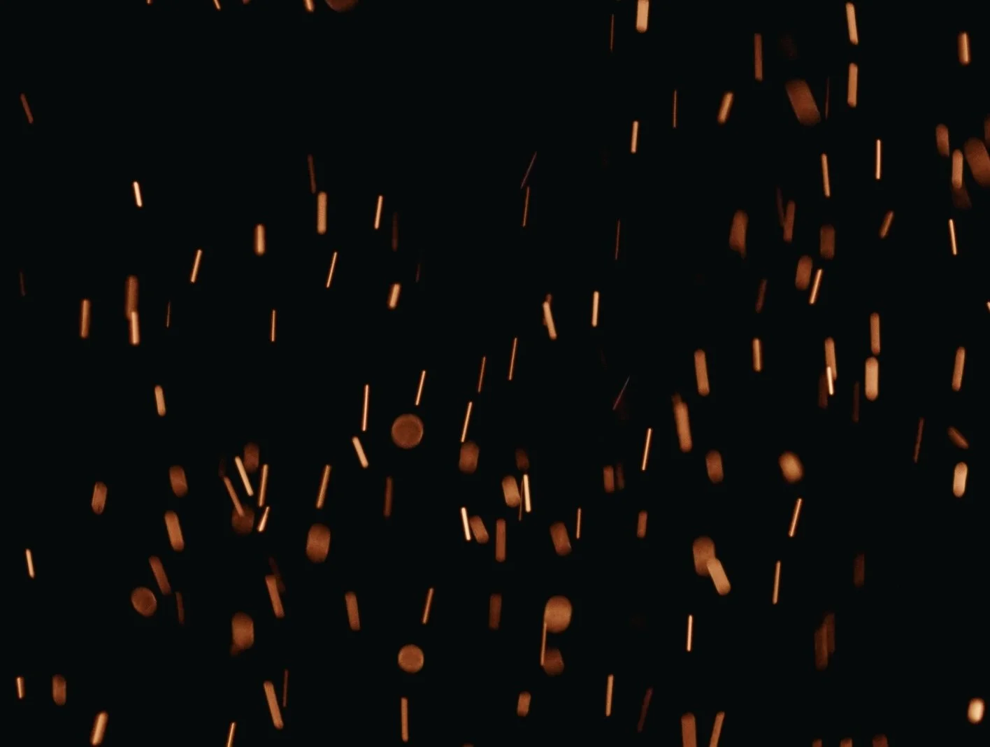 Still 2026-02-20 143126_1.94.1.jpg