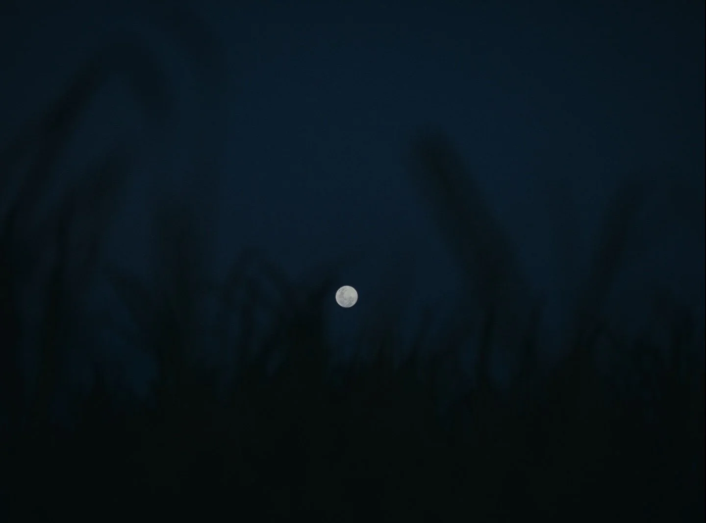 Still 2026-02-20 143126_1.111.1.jpg