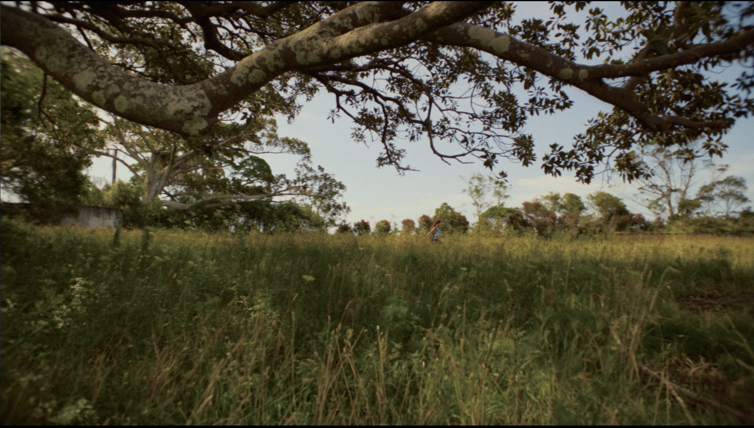 Screenshot 2025-09-26 at 1.10.08 pm.jpeg