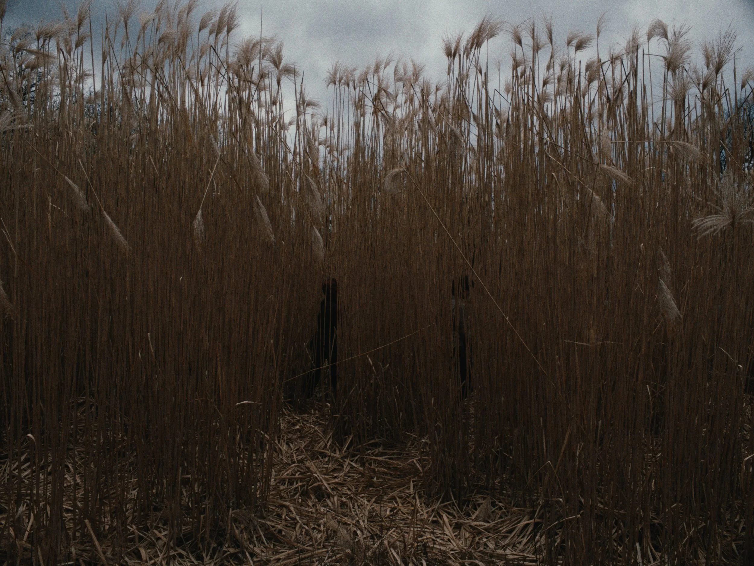 BASIC_TENSION_STILLS00559047 copy.jpeg