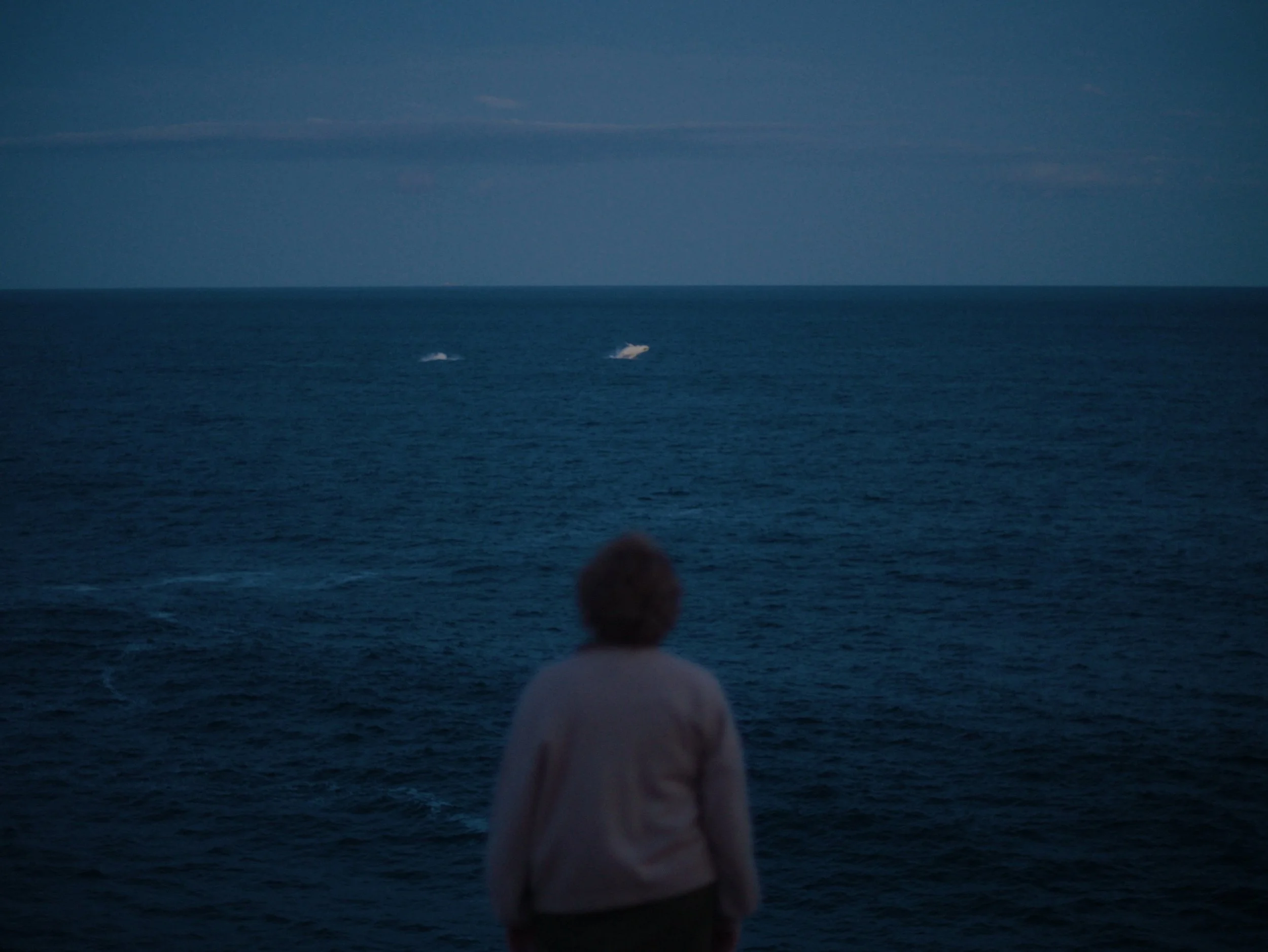 [4k Master] MUM Short_1.59.1.jpg