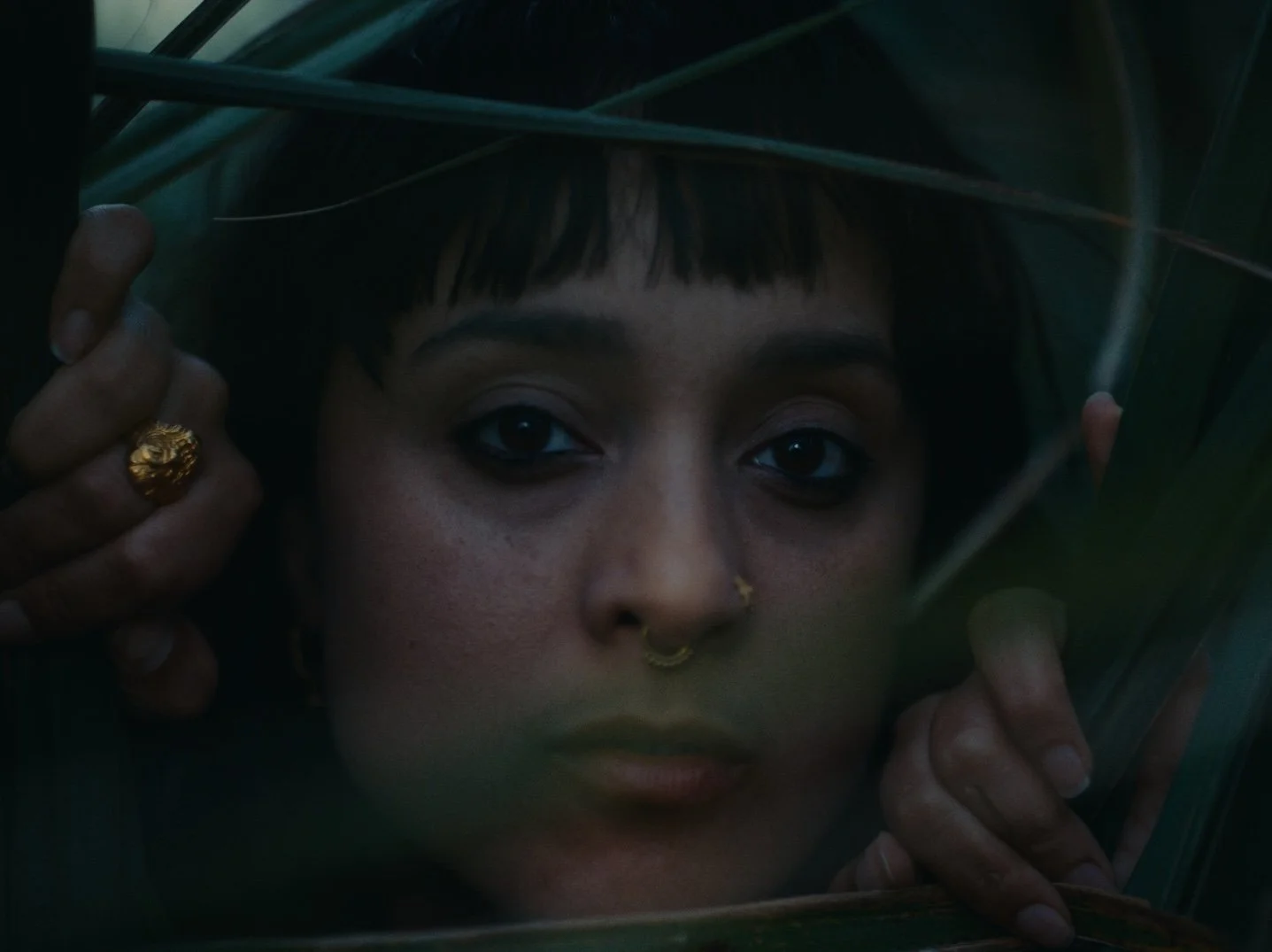 Still 2026-02-20 143126_1.148.2.jpg