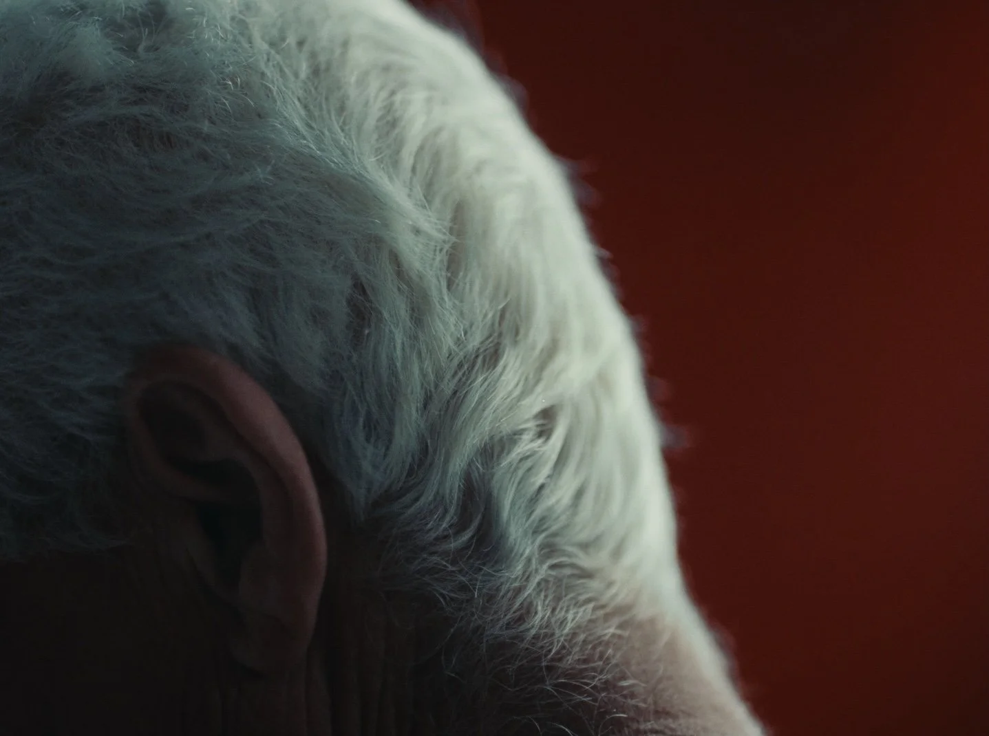 Still 2026-02-20 143126_1.23.1.jpg