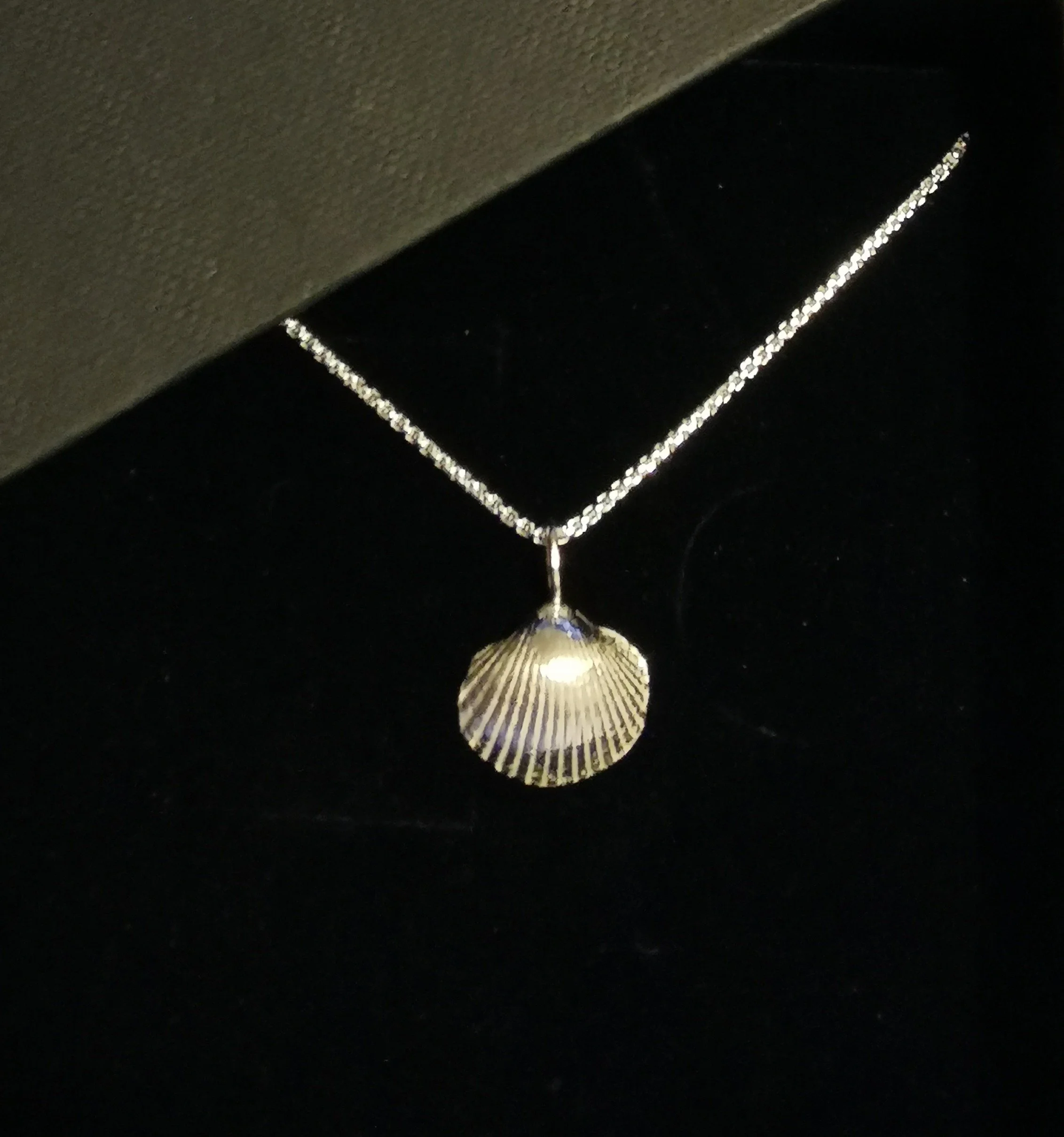 Beach shell silver necklace
