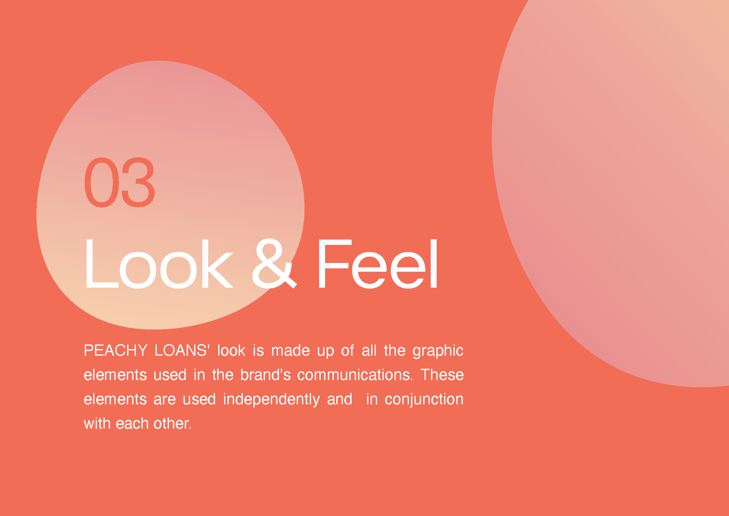 PEACHY LOANS BRAND GUIDELINES FINAL 082022_Page_18.png