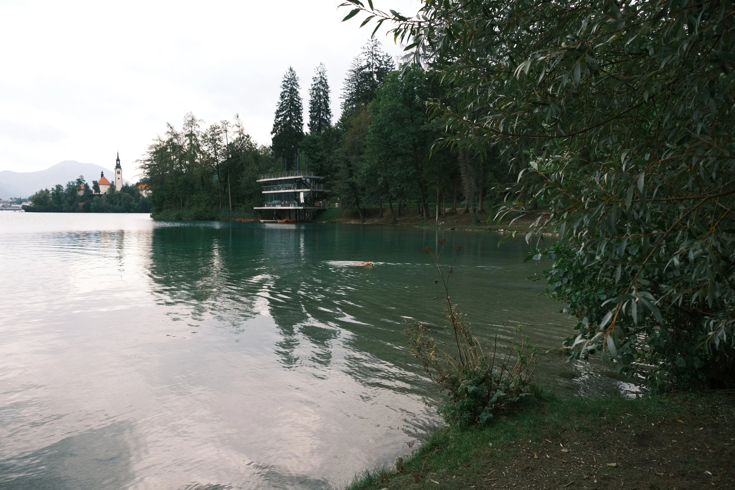 DSCF2537.JPG