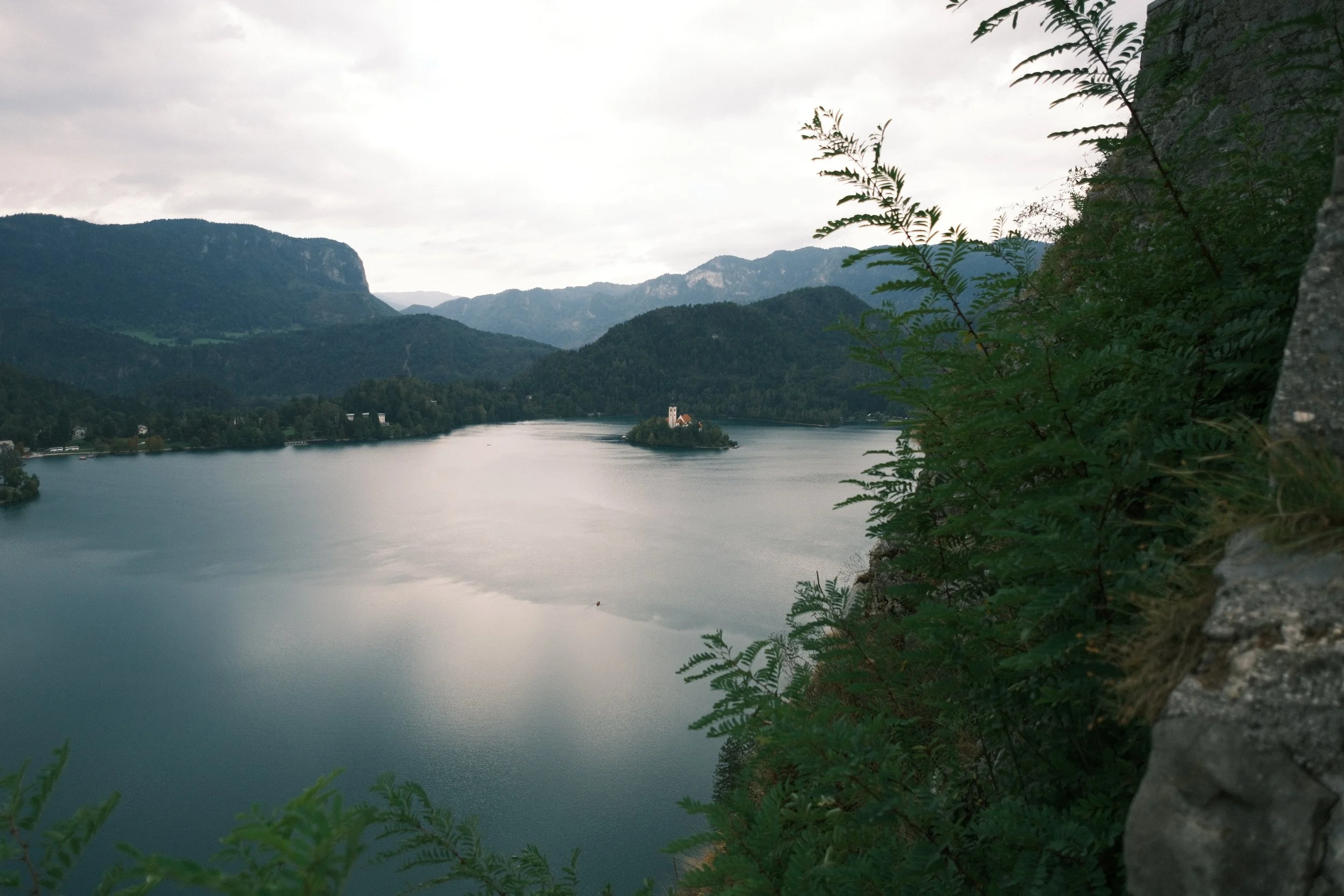 DSCF2405.JPG