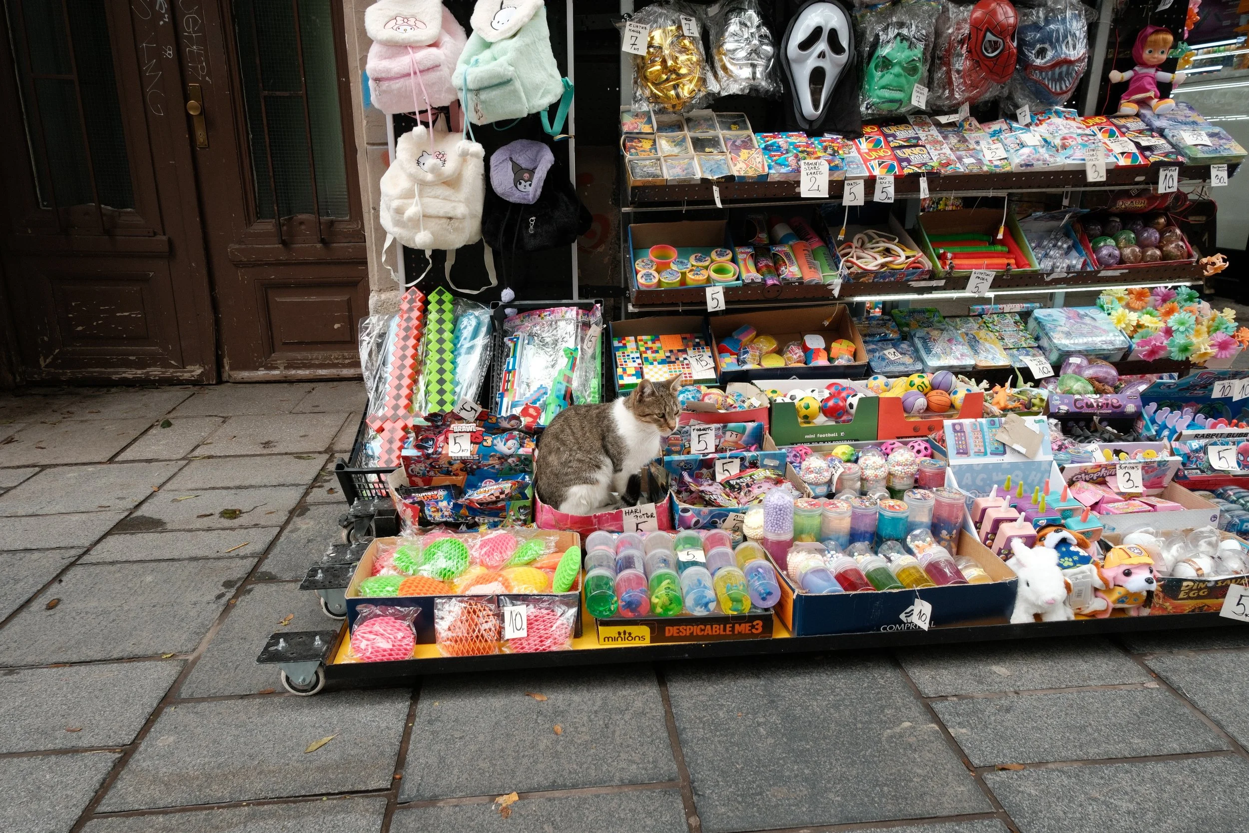 DSCF5754.JPG