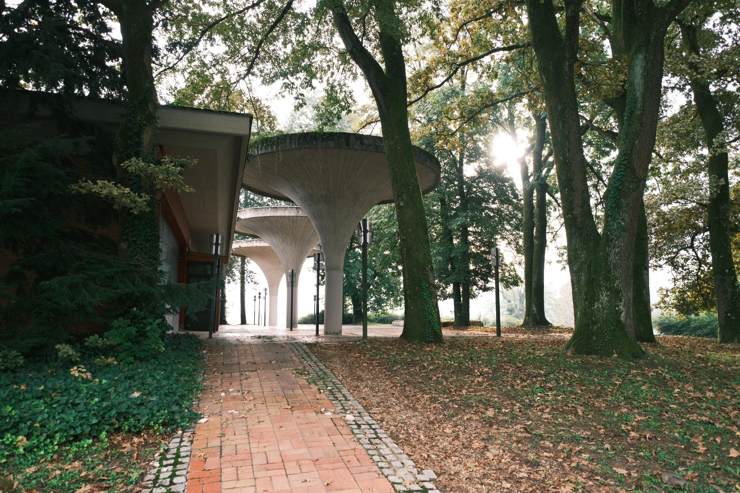 DSCF2372.JPG