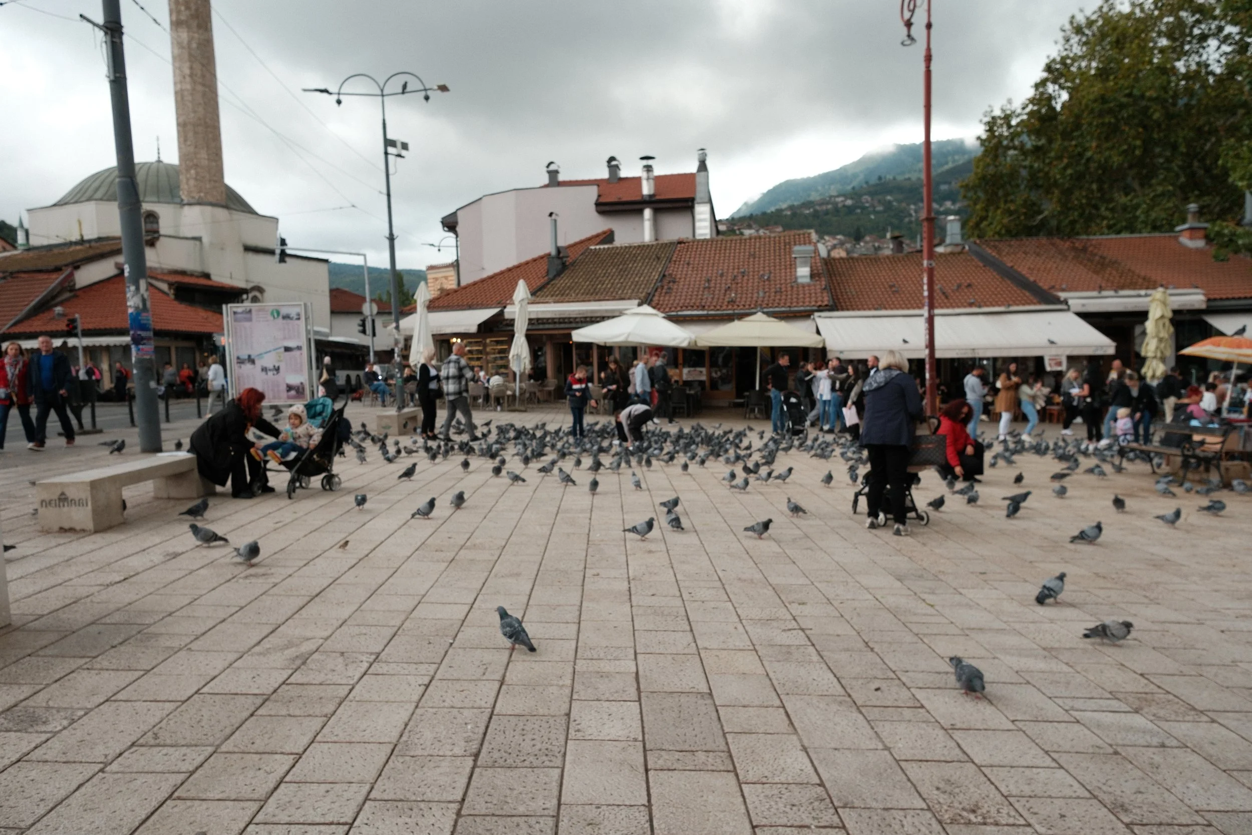 DSCF5752.JPG