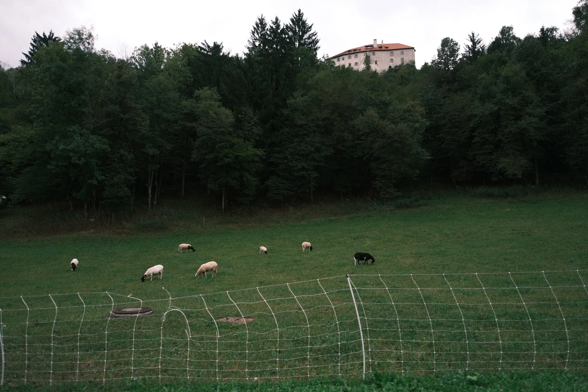 DSCF2496.JPG