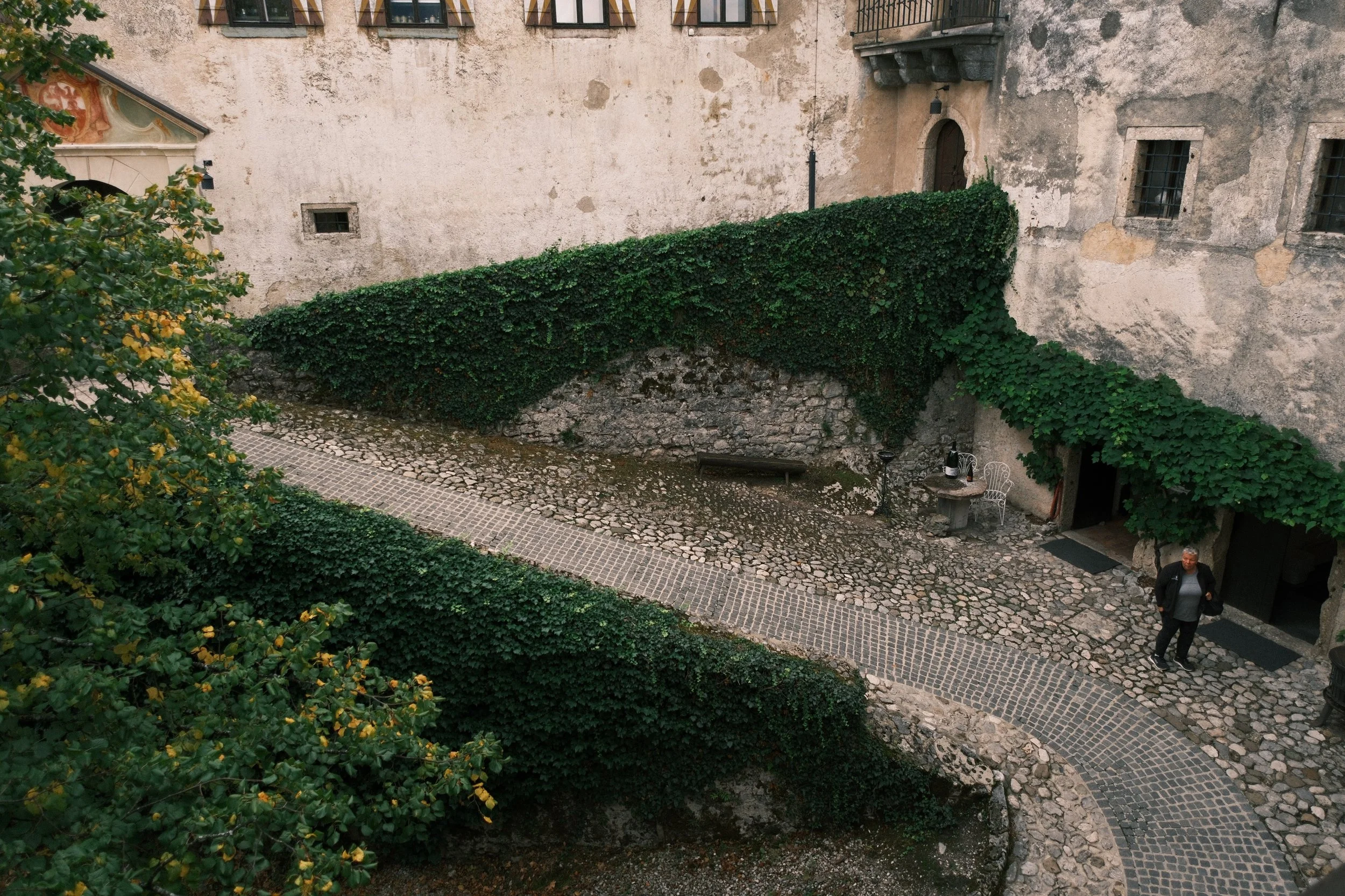 DSCF2474.JPG