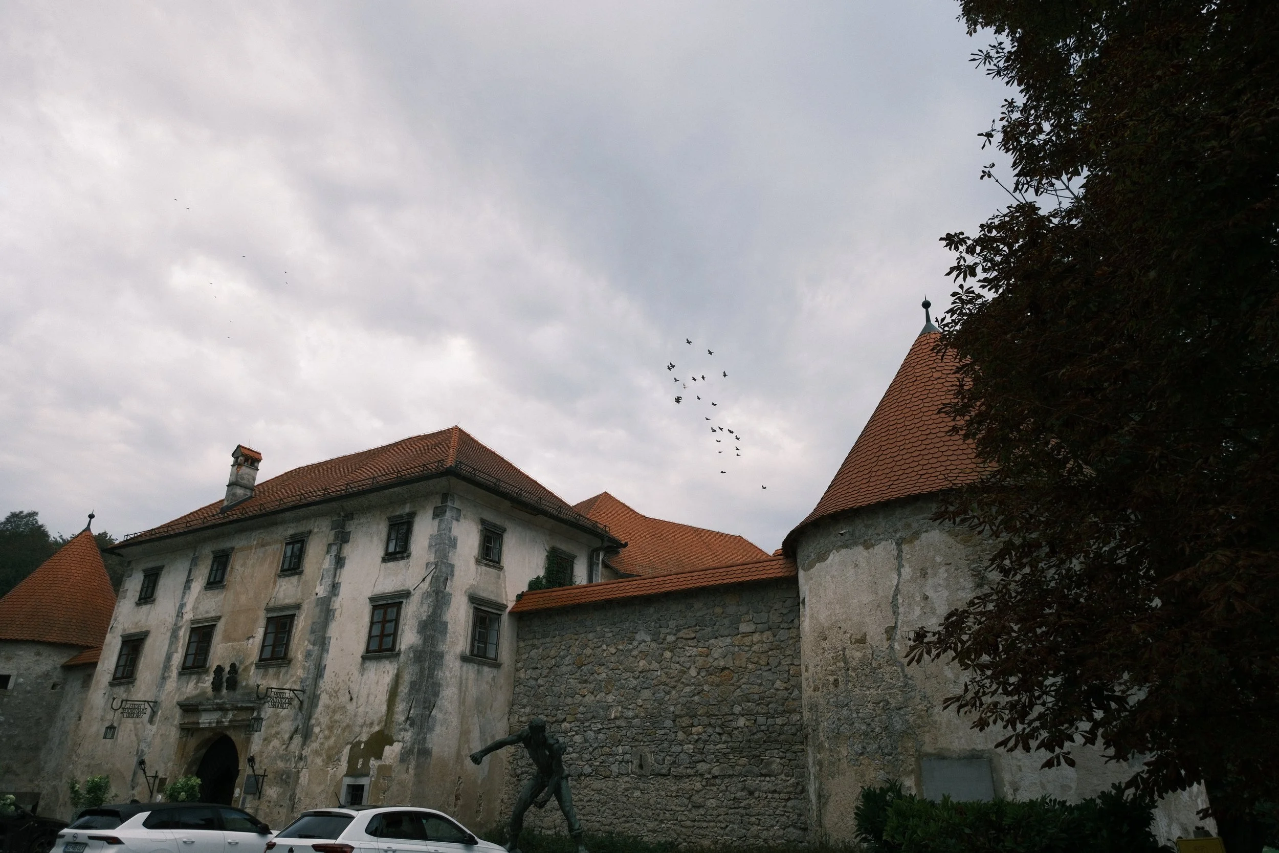 DSCF2355.JPG