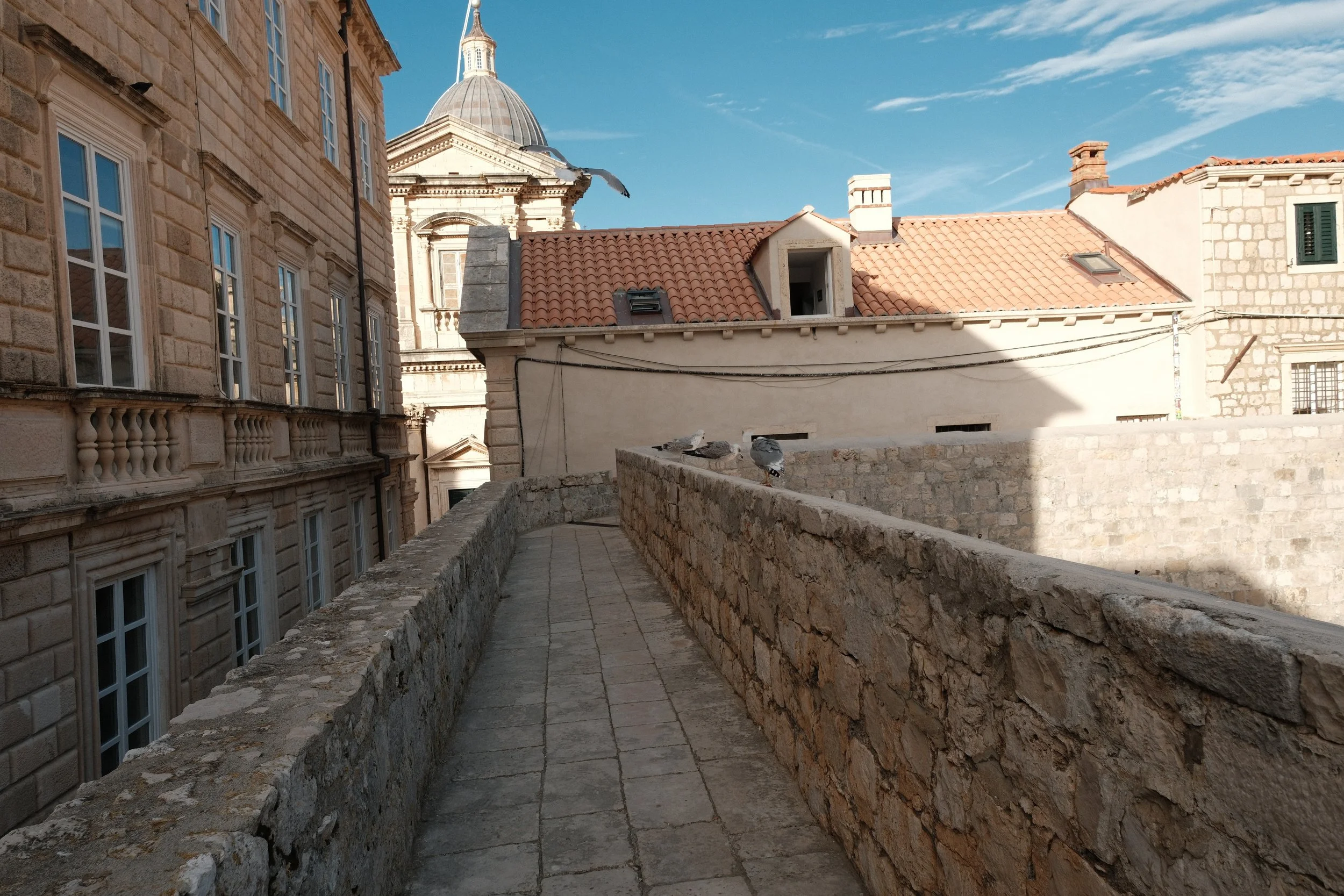 DSCF4712.JPG