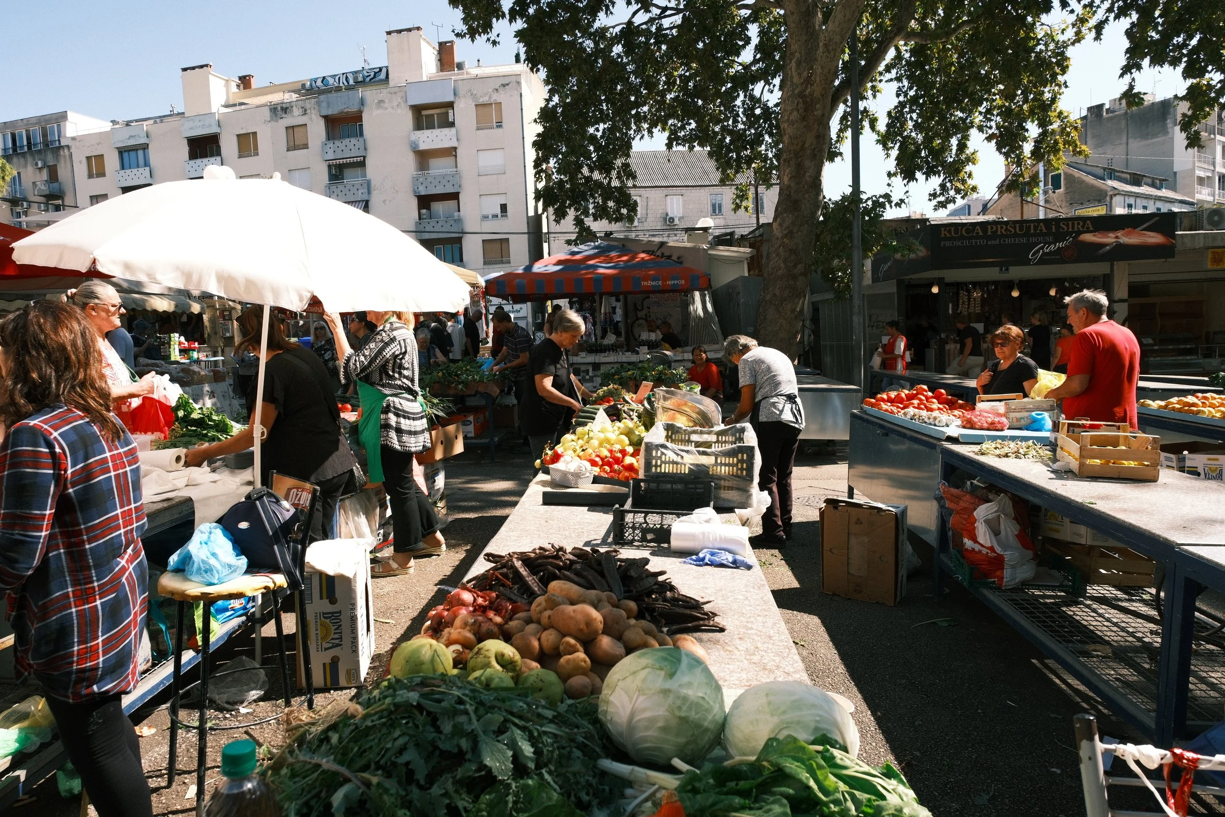 DSCF3248.JPG