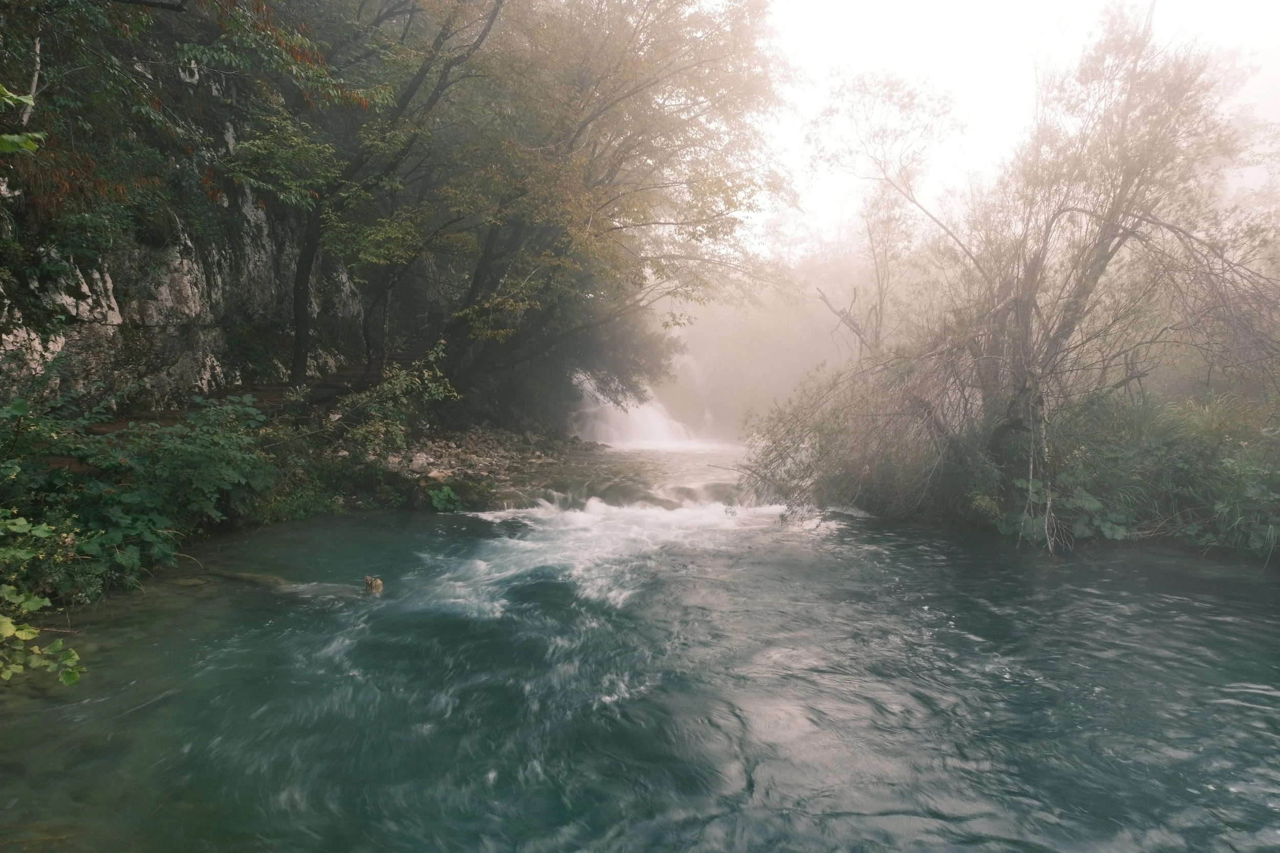 DSCF2729.JPG