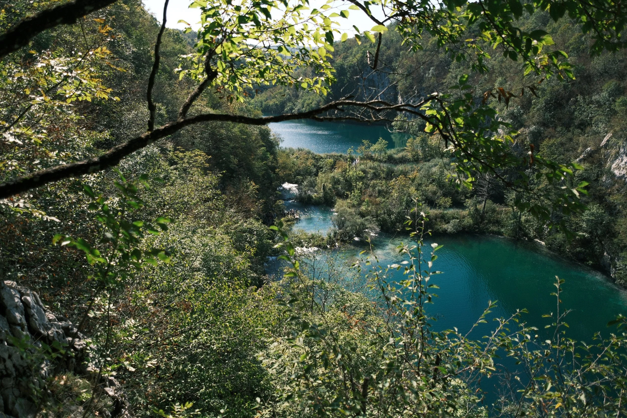 DSCF2890.JPG
