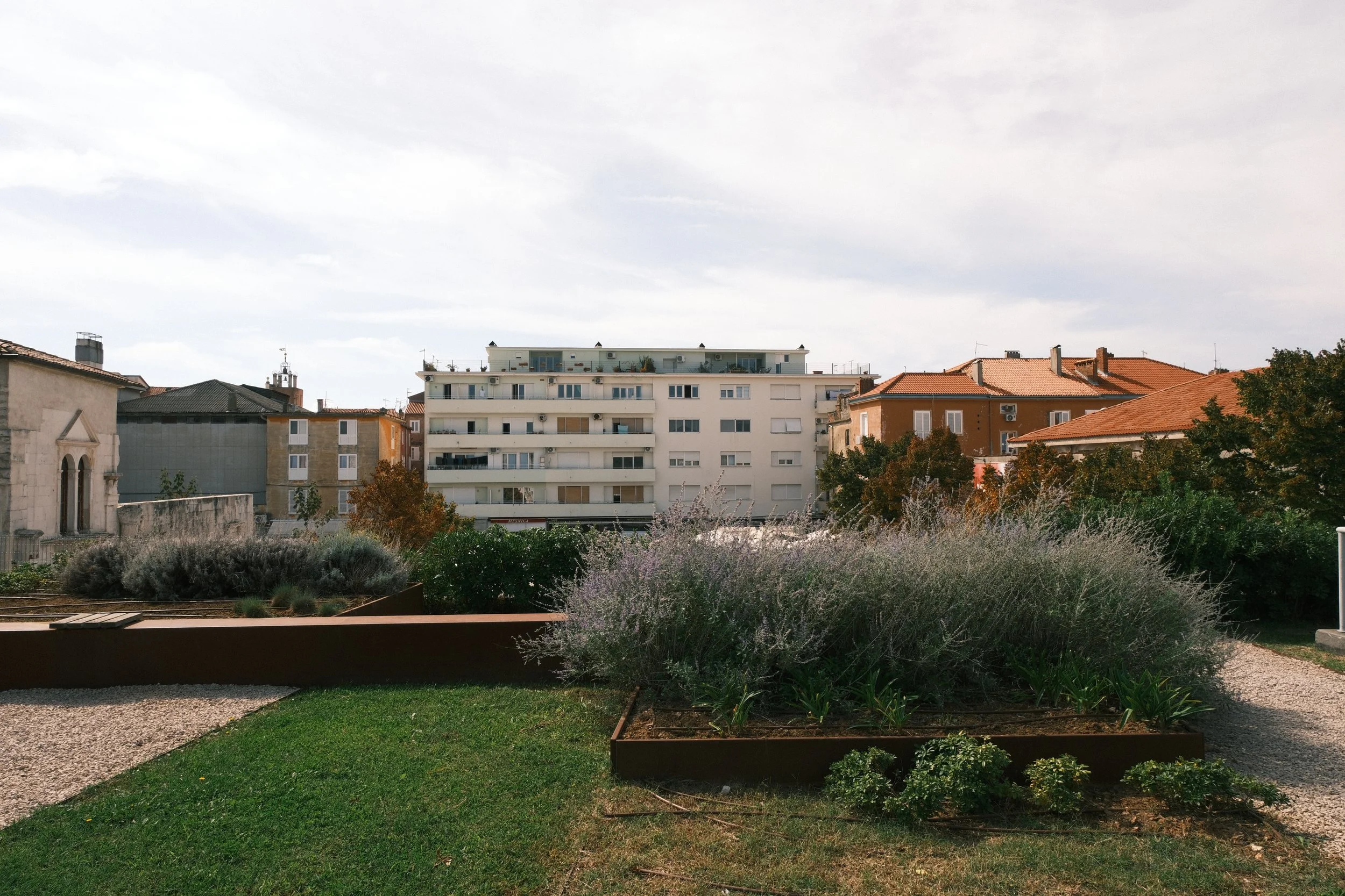 DSCF3058.JPG