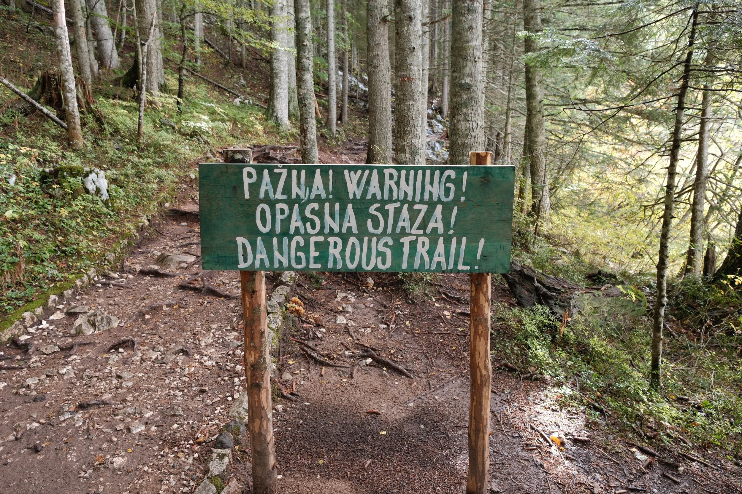 DSCF5195.JPG