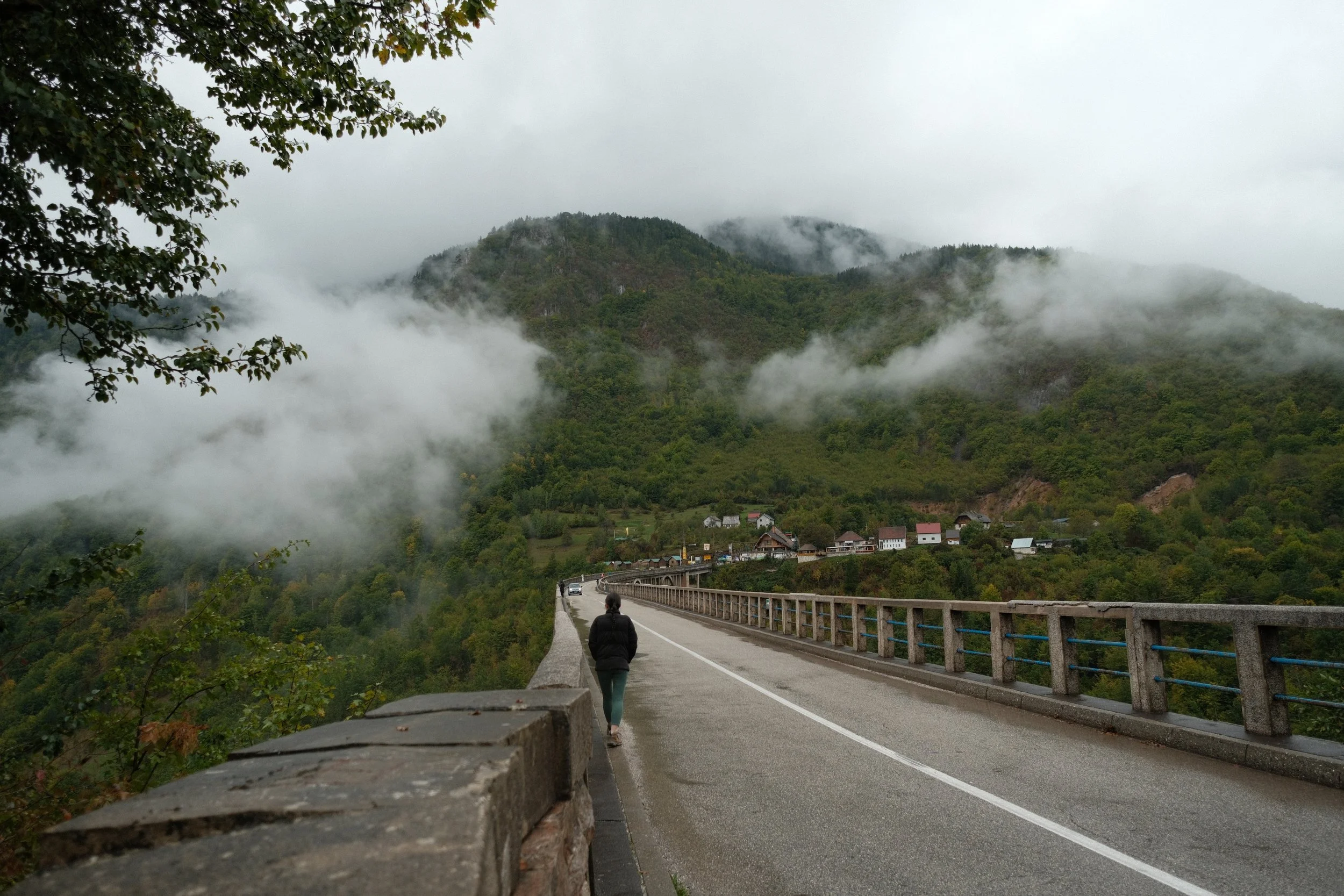 DSCF5164.JPG