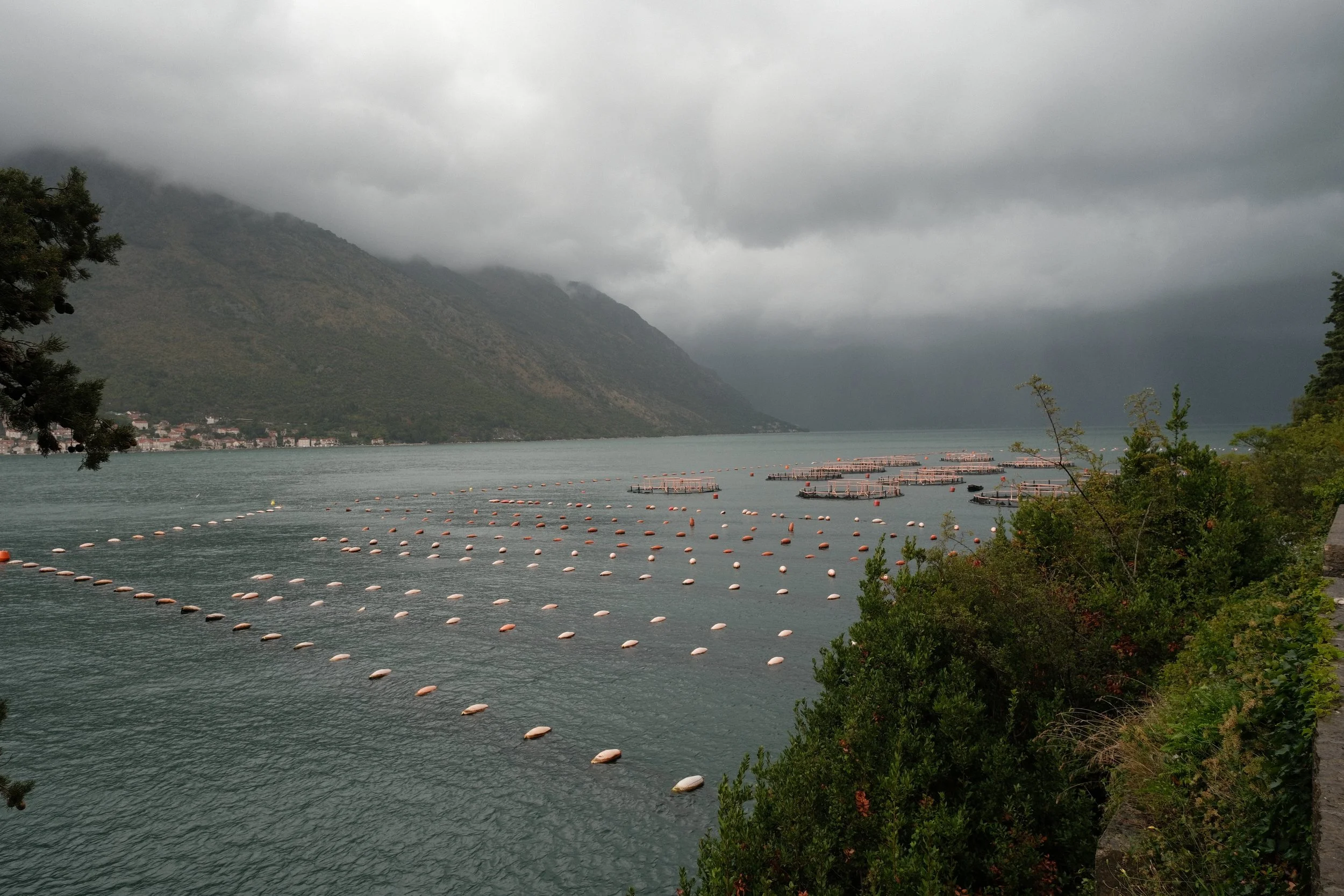 DSCF4774.JPG