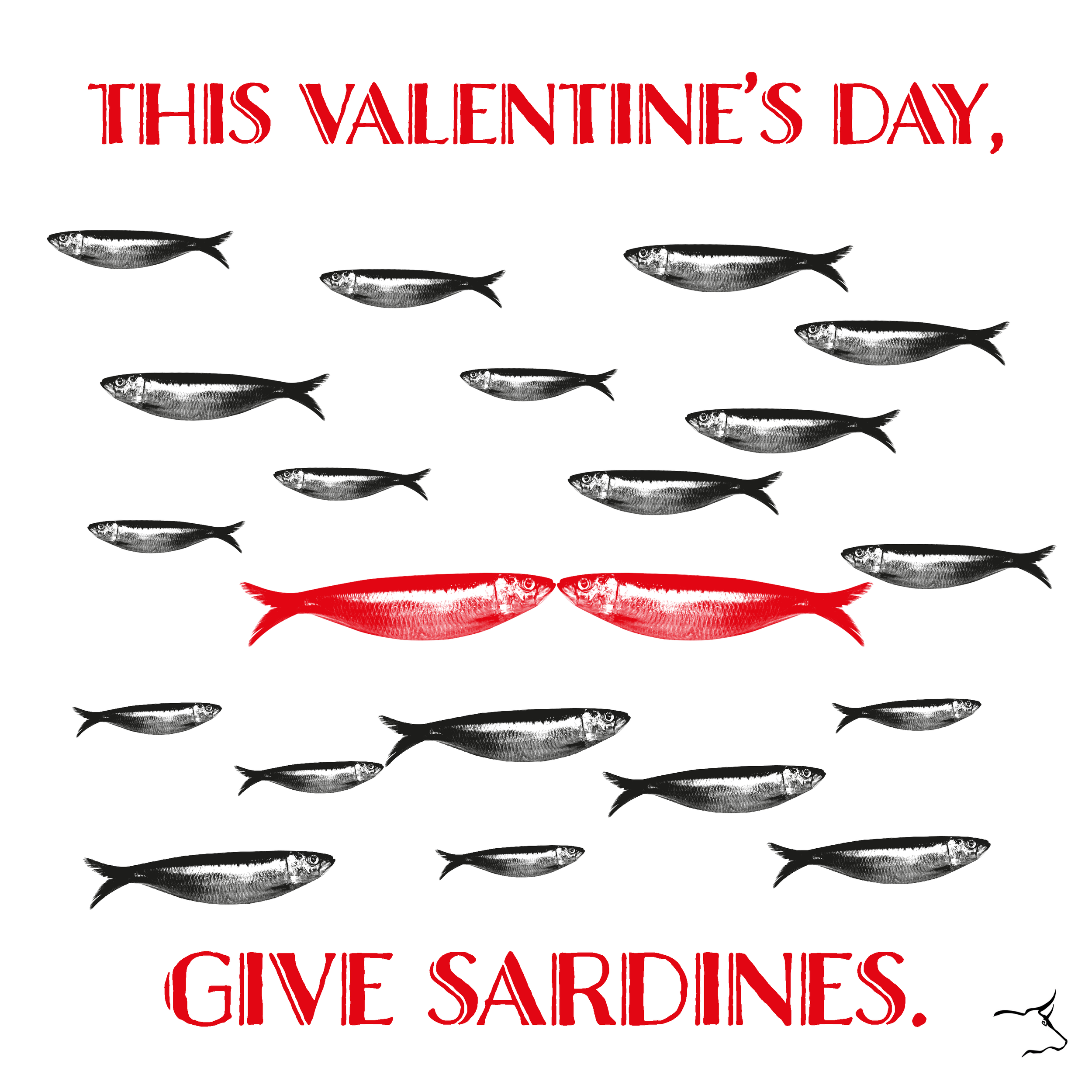 despana final insta square.png