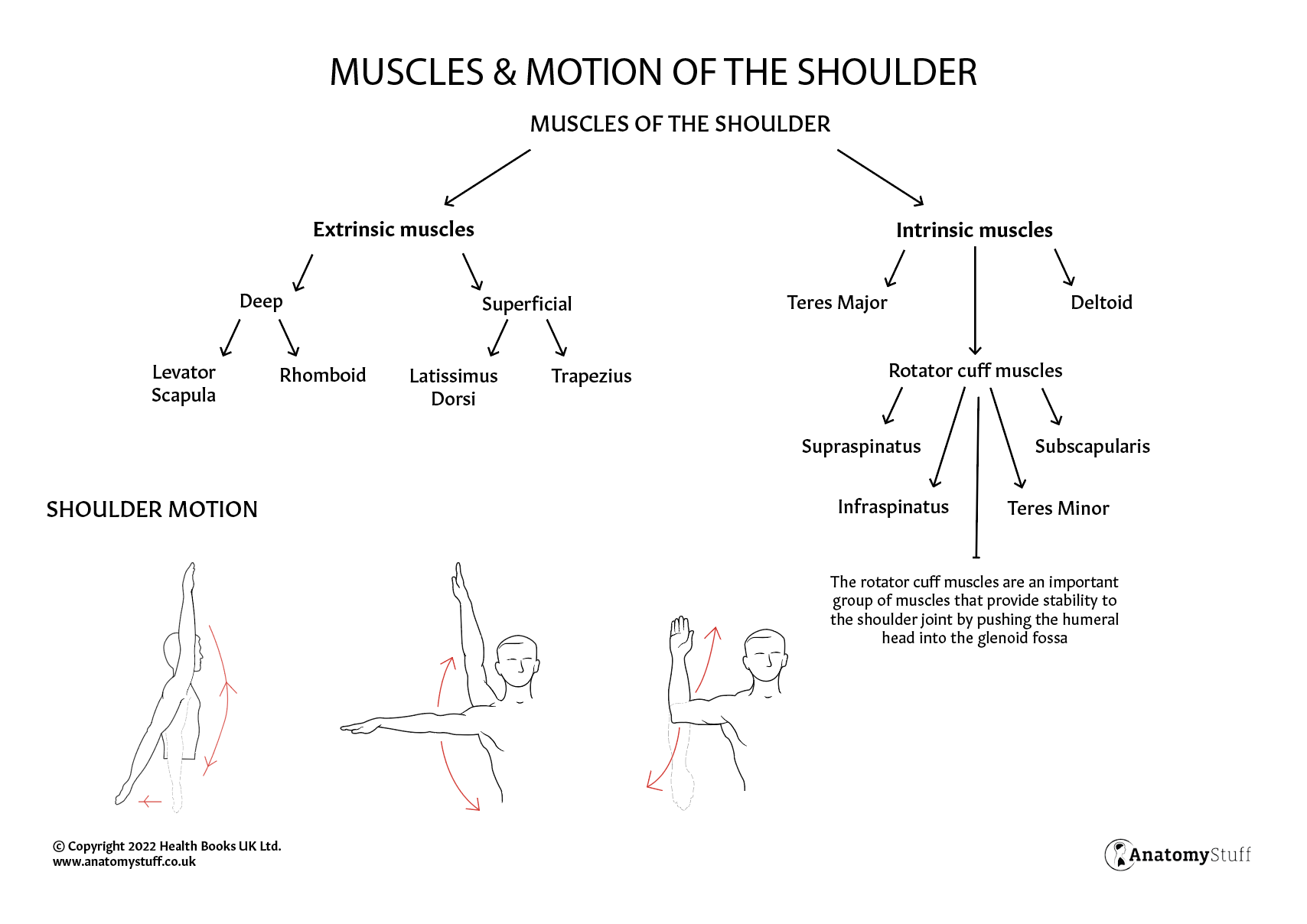 Screen Shot 2023-06-06 at 10.54.32 AM.png