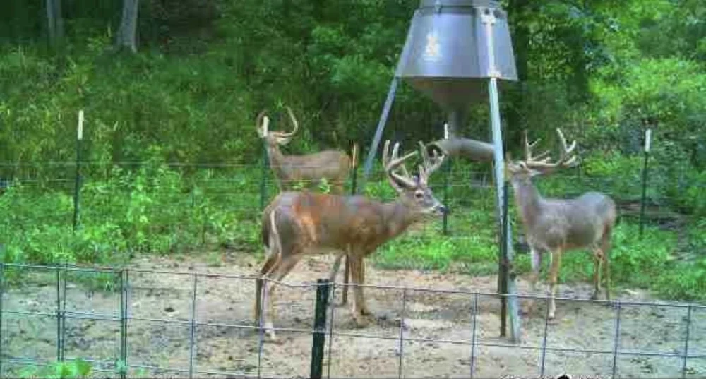 Bluff Farm Supply Photos — Bluff Farm Supply