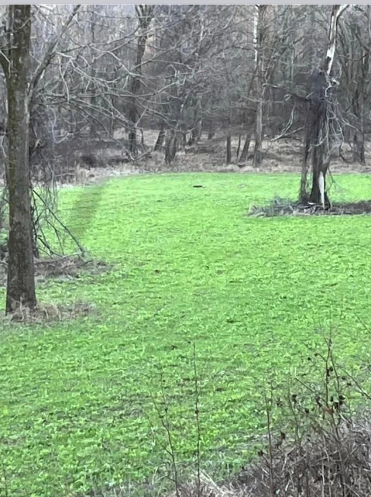 Bluff Farm Supply Photos — Bluff Farm Supply