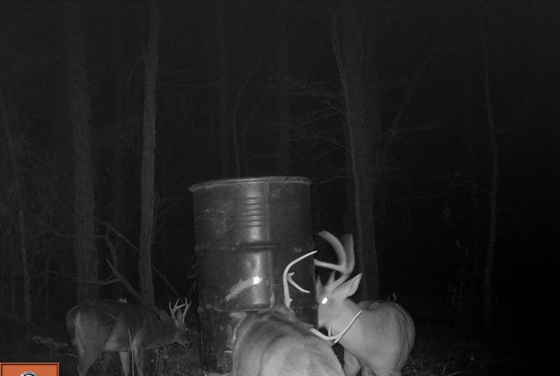 Bluff Farm Supply Photos — Bluff Farm Supply