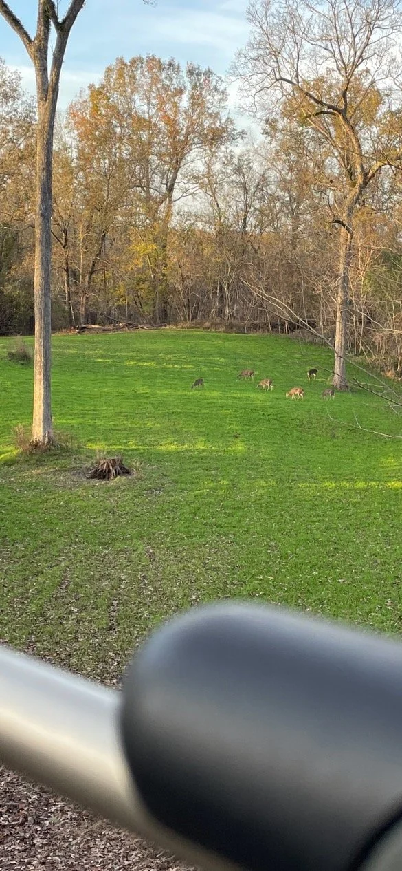 Bluff Farm Supply Photos — Bluff Farm Supply