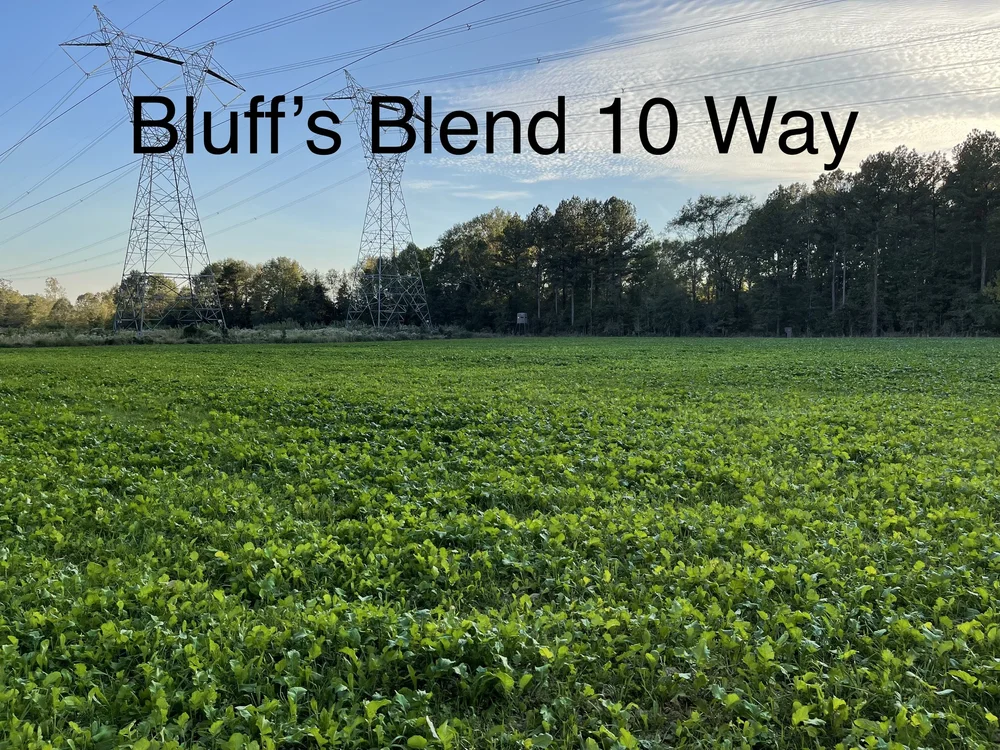 Bluff Farm Supply Photos — Bluff Farm Supply