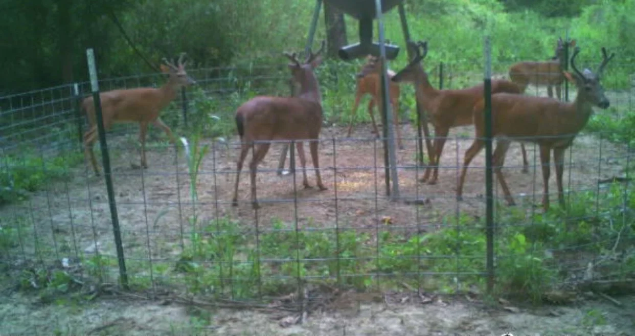 Bluff Farm Supply Photos — Bluff Farm Supply