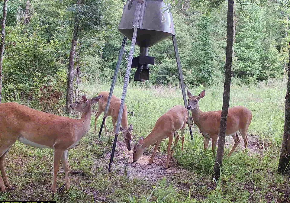 Bluff Farm Supply Photos — Bluff Farm Supply