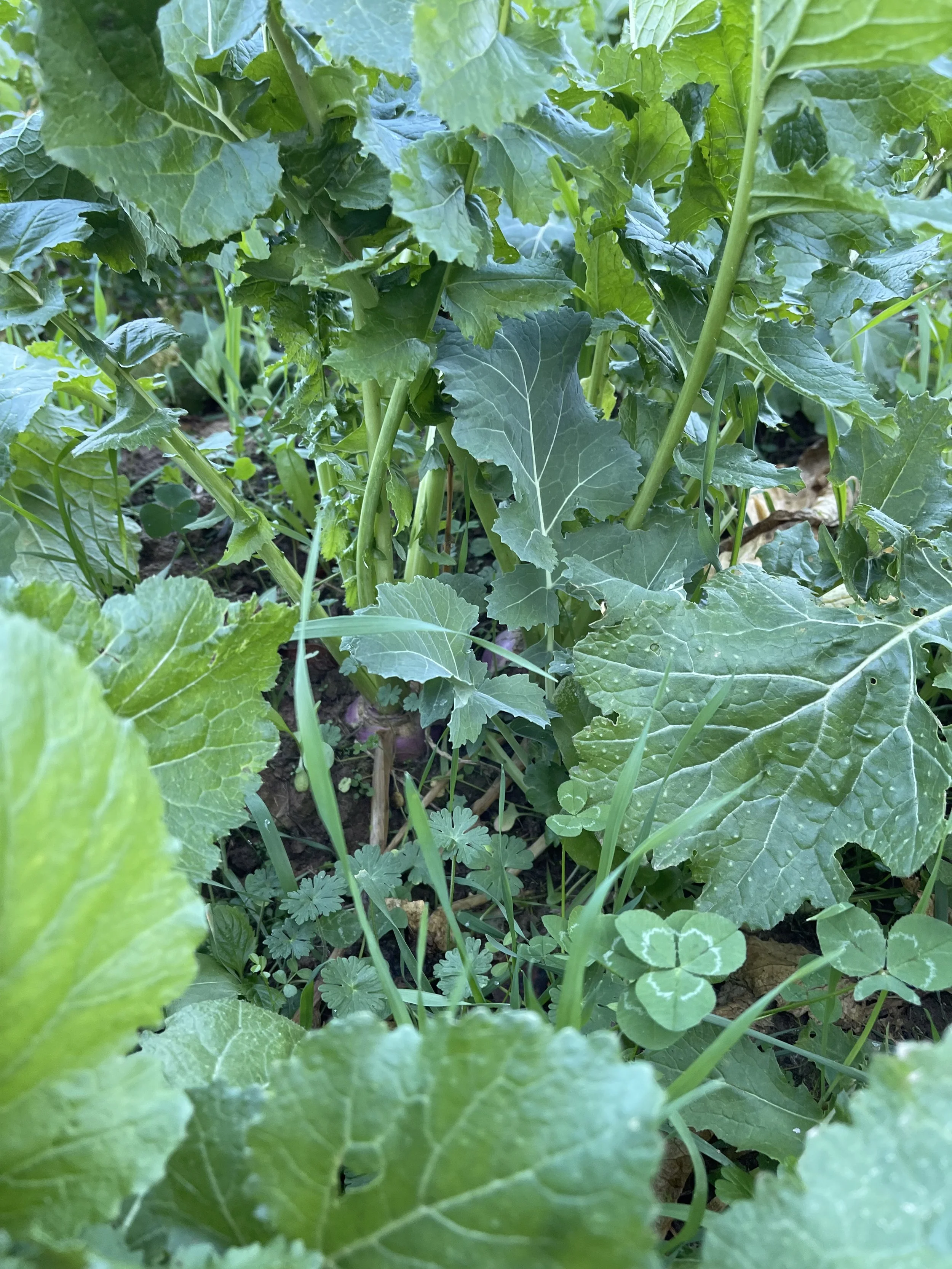 Bluff Farm Supply Photos — Bluff Farm Supply