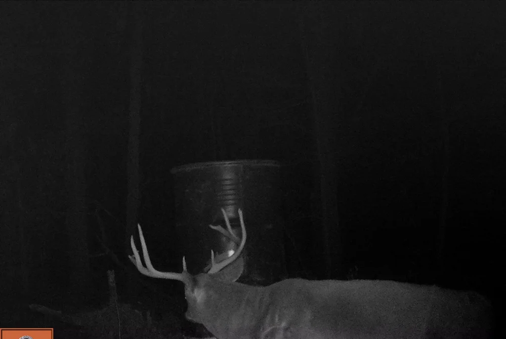 Bluff Farm Supply Photos — Bluff Farm Supply