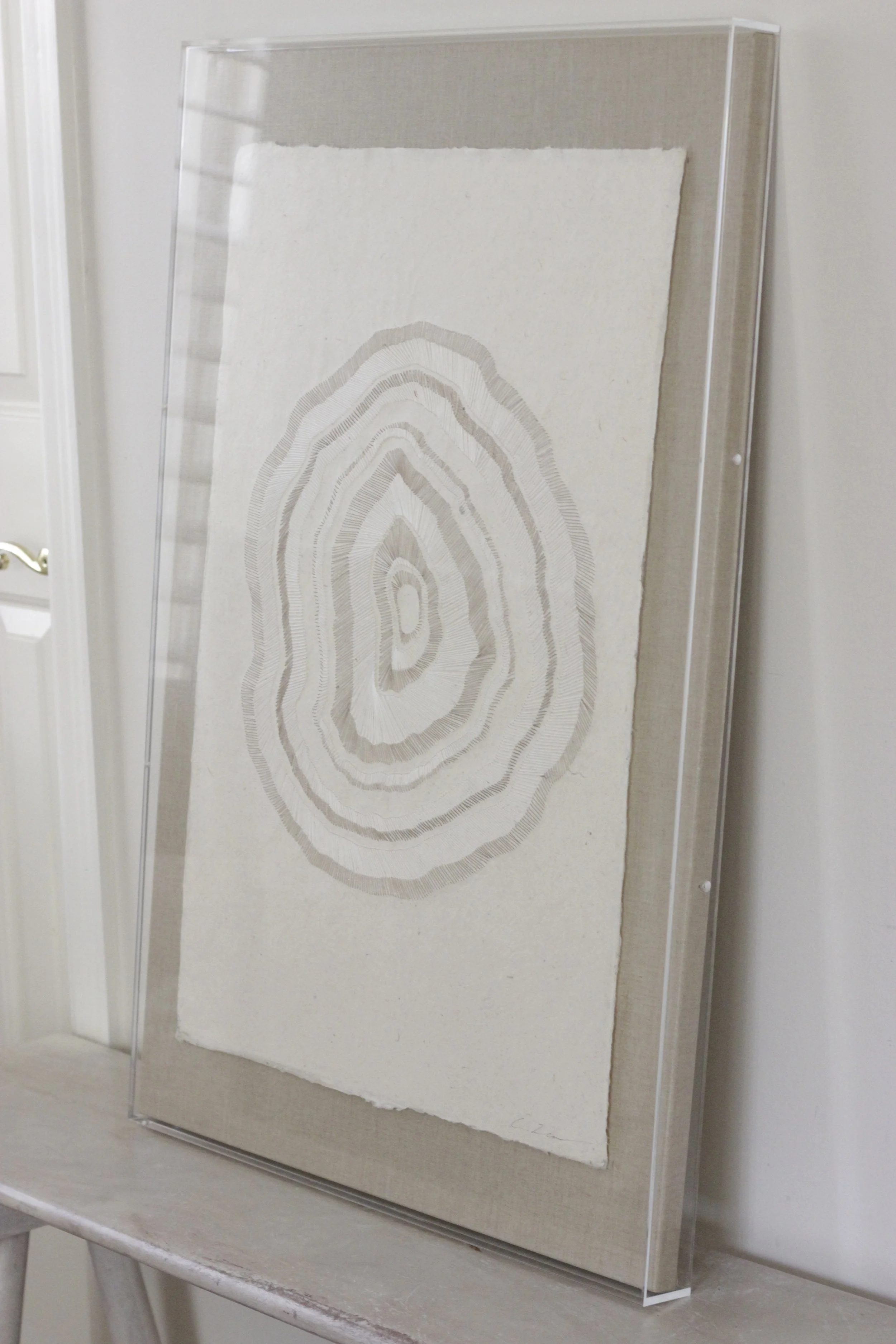 Tree Rings; The Years That Made Us