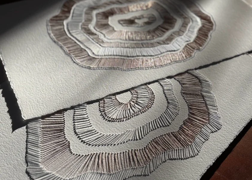 &lsquo;Every Ring Matters&rsquo; and &lsquo;Resilient Growth&rsquo;

The remarkable thing is that the tree doesn&rsquo;t erase the difficult years. It keeps them, right there beside the generous ones. The story is only whole because both exist.

Ever