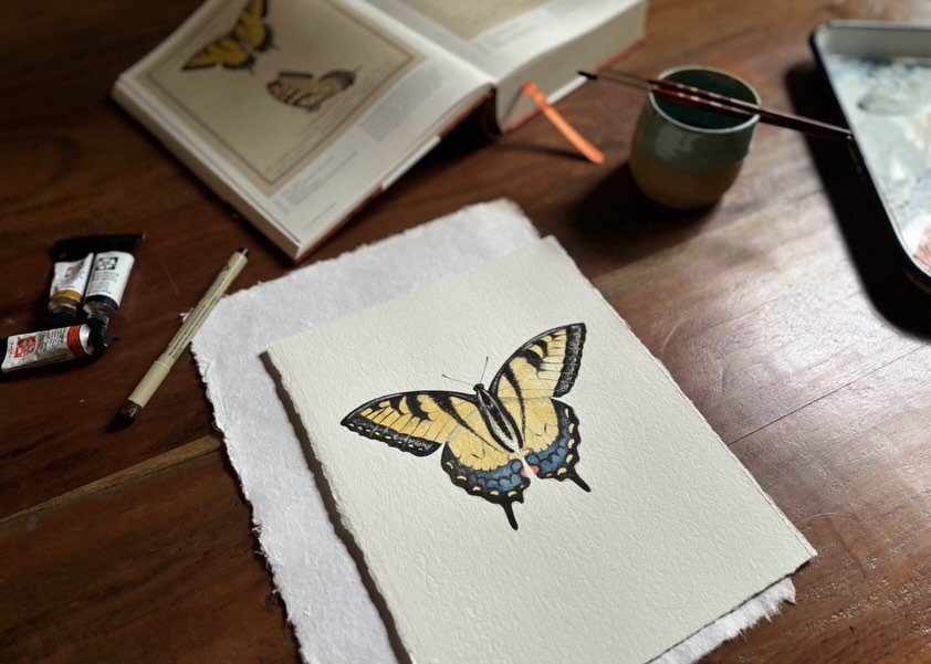 Eastern Tiger Swallowtail. Watercolor and ink on 8x10 300lb Coldpress @archespapers. Something about painting in this illustrative and detailed style takes me back to the beginning of my painting journey. It feels simple, pure and feels like coming h