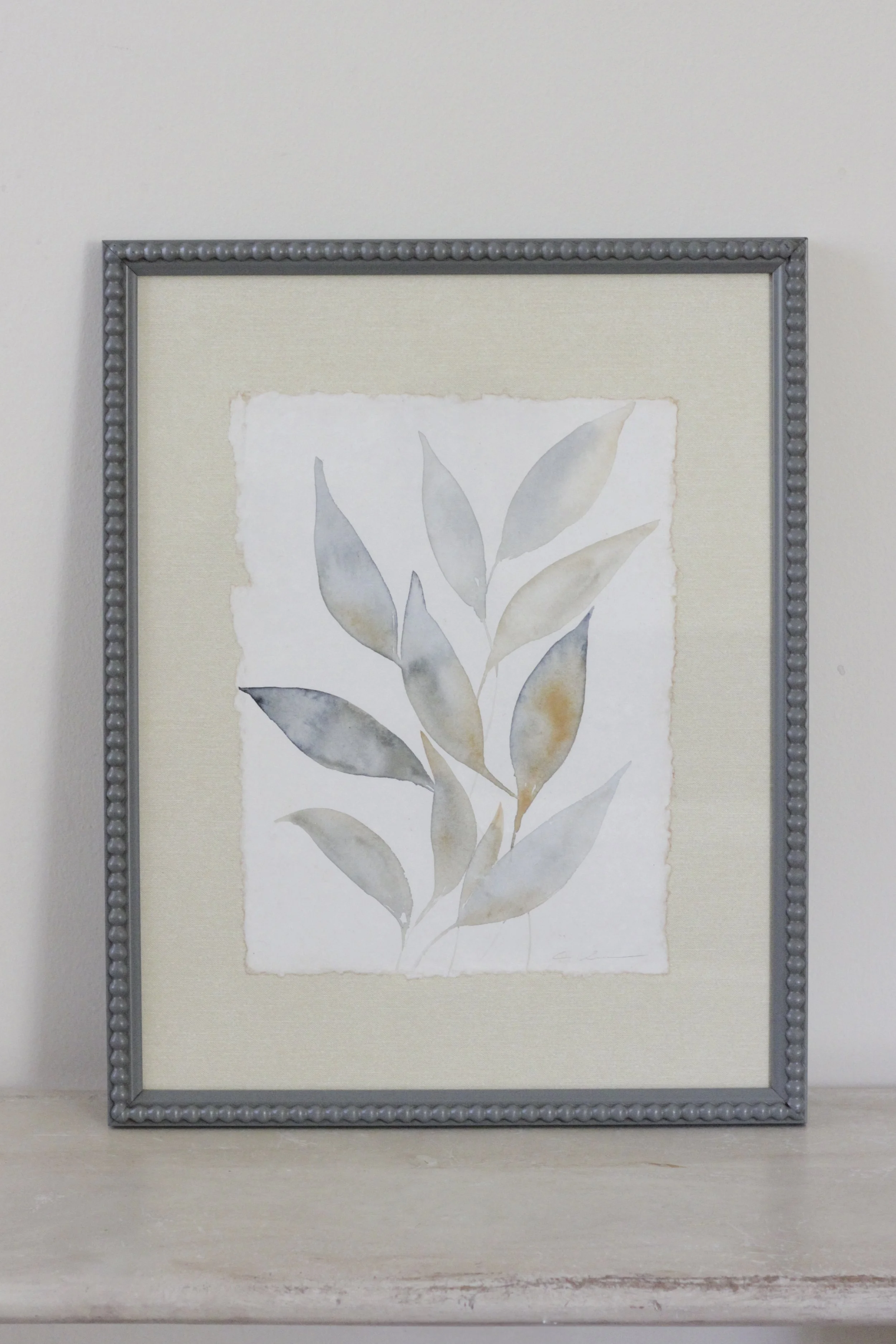 Botanical Study; Leaves