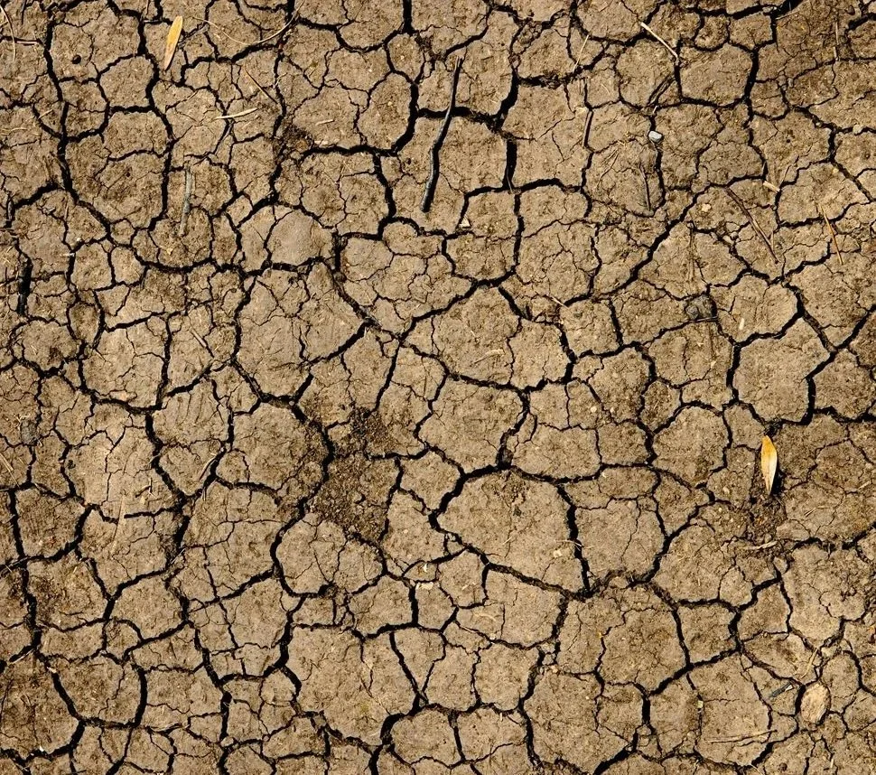 The People Who Caused the Least Climate Change Paid the Highest Price