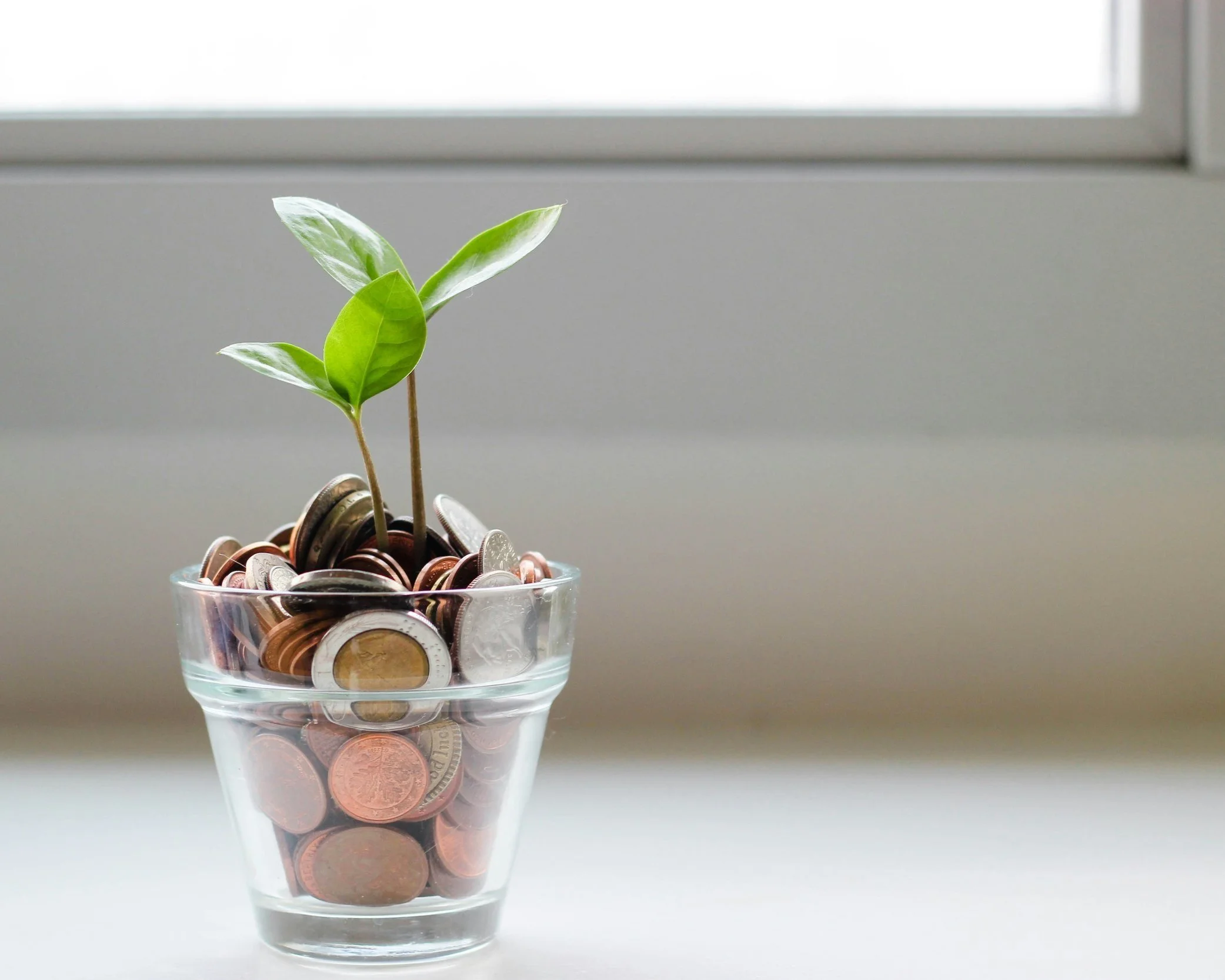 The Case for Funding Climate Litigation the Same Way as Commercial Litigation, and Saying Goodbye to Grants