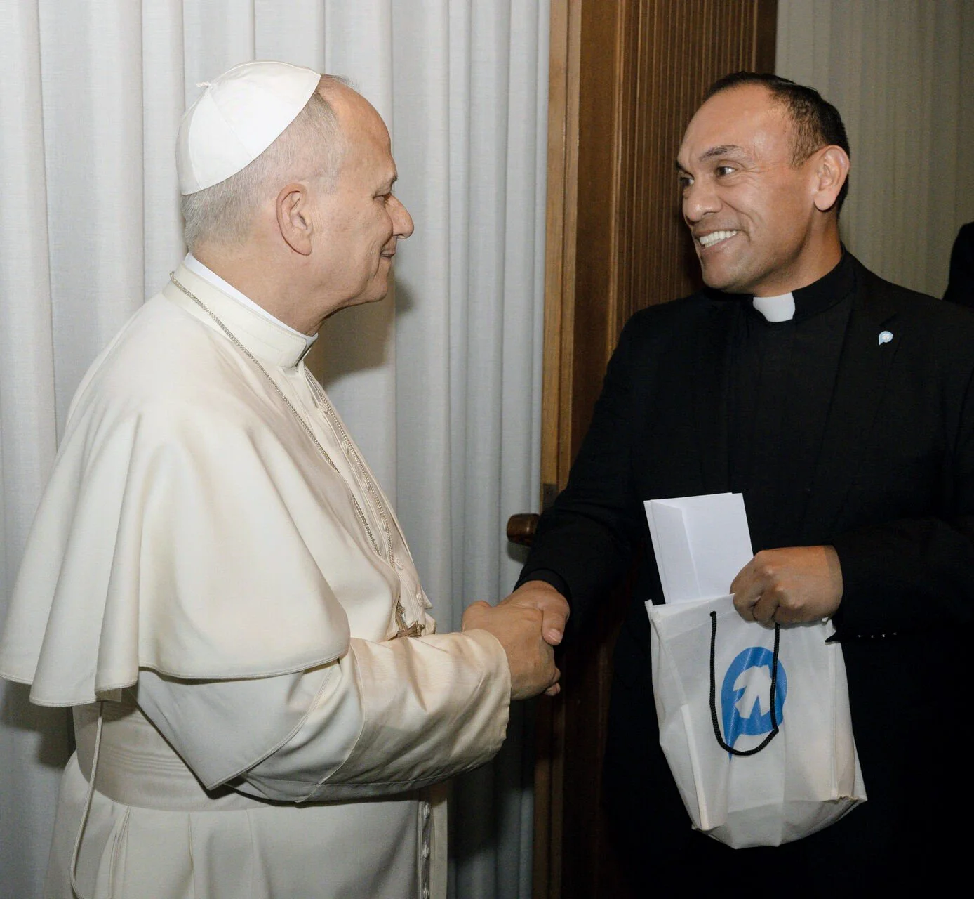 Marriage or the priesthood? Pope Leo shares advice for discerning your vocation